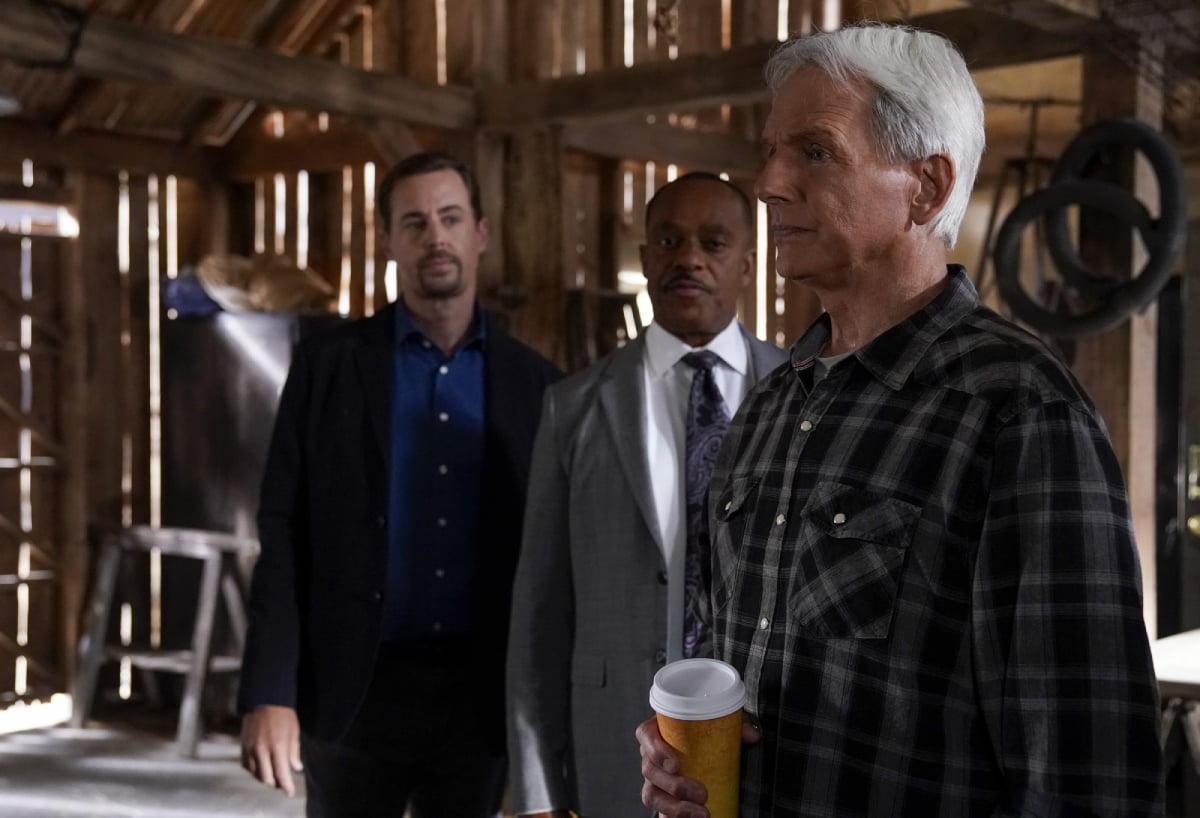 On the hunt for Jason Wiles serial killer on NCIS are Sean Murray, Rocky Carroll, and Mark Harmon as NCIS Special Agent Leroy Jethro Gibbs