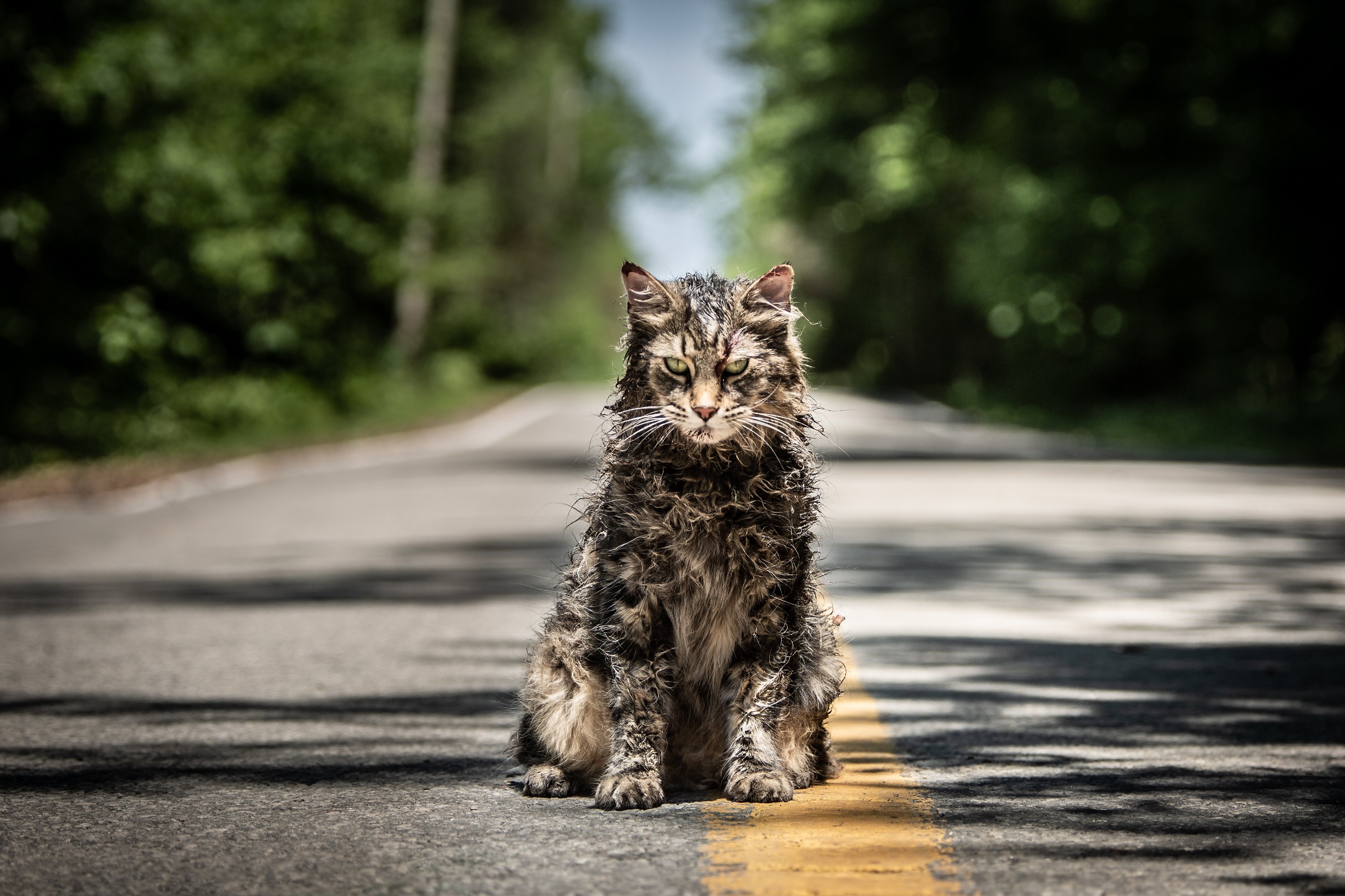 Stephen King horror movie 'Pet Sematary'