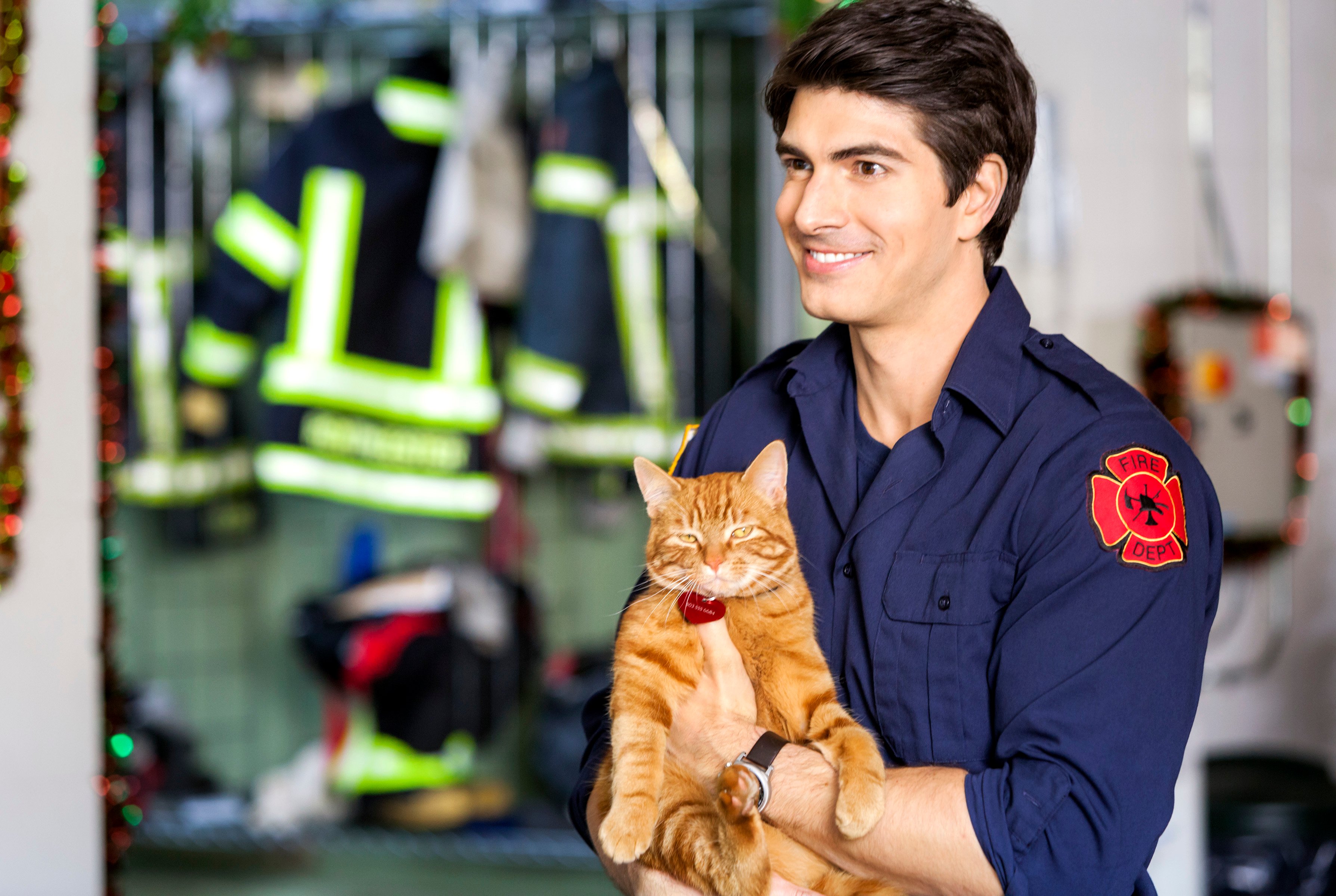 Brandon Routh holding a cat in 'The Nine Lives of Christmas'