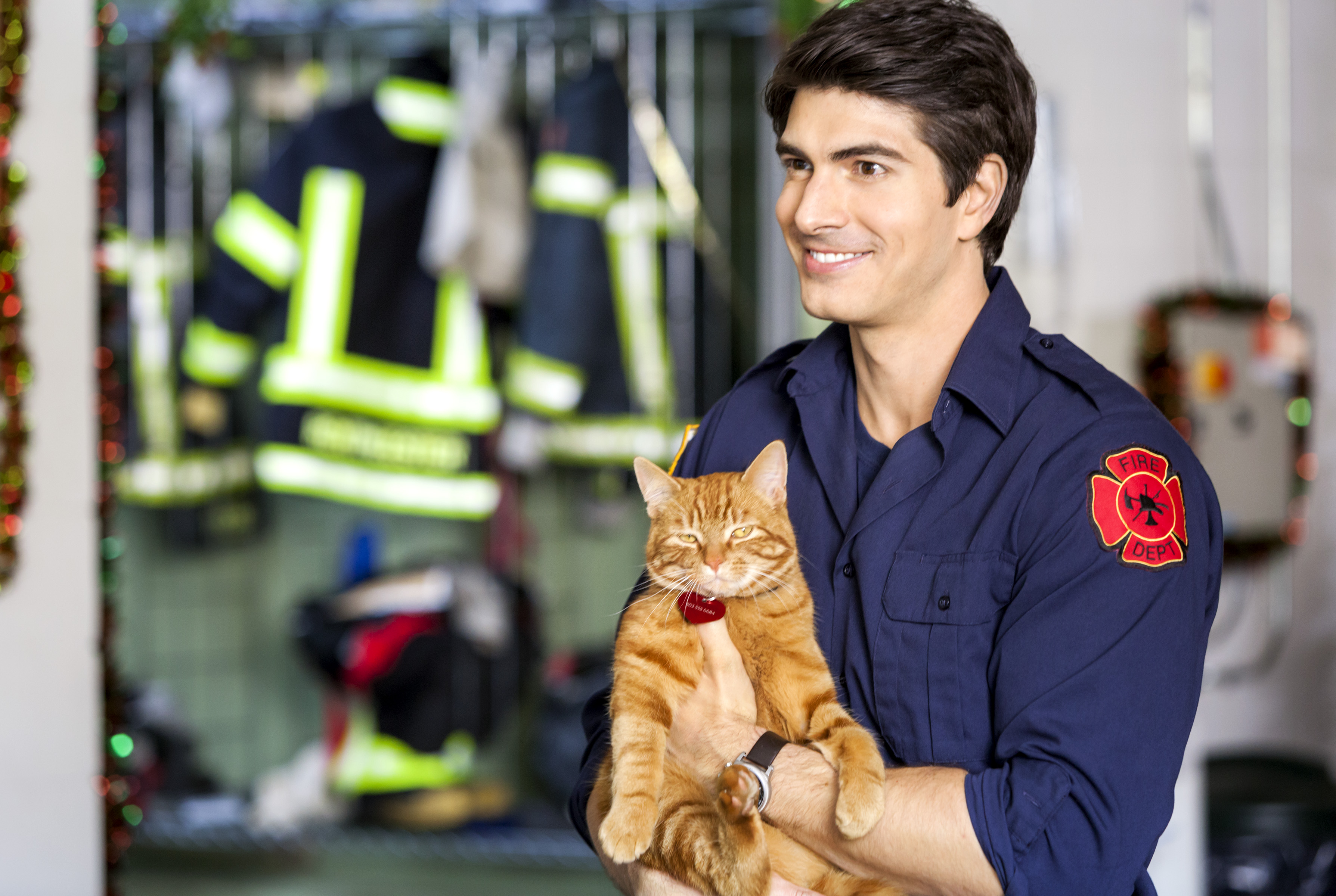 Brandon Routh holding a cat in 'The Nine Lives of Christmas'