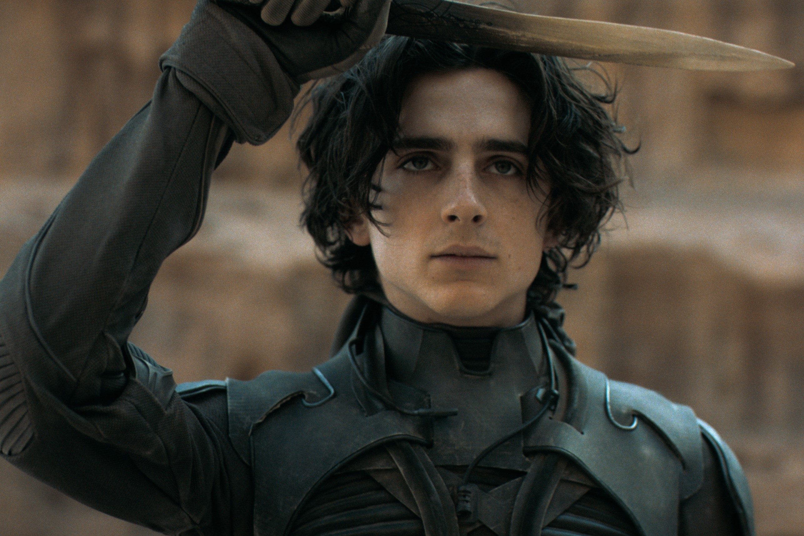 Timothée Chalamet, in a black costume holding a knife over his head, in a sill from the movie 'Dune.'