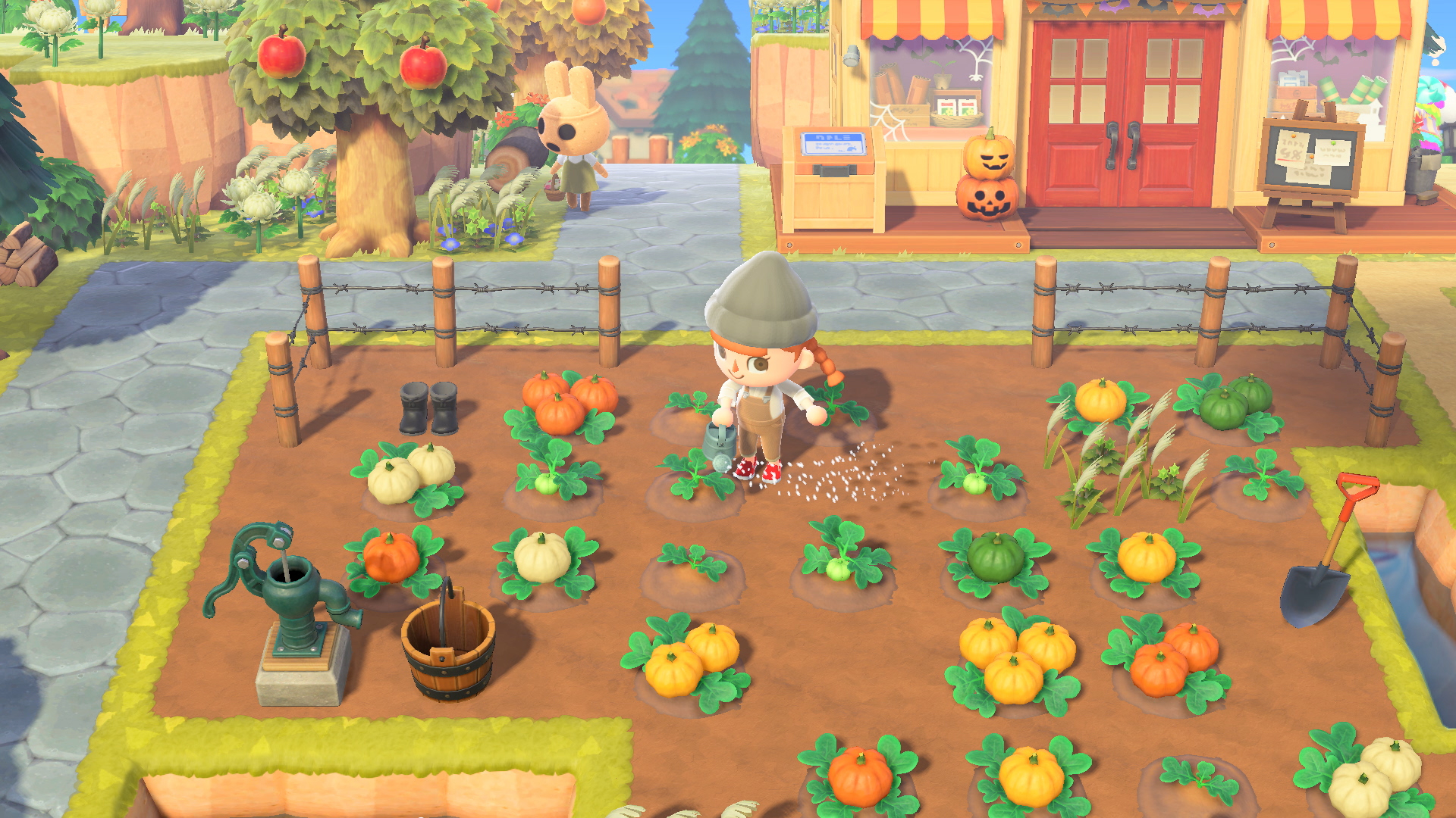 'Animal Crossing: New Horizons' player waters pumpkins