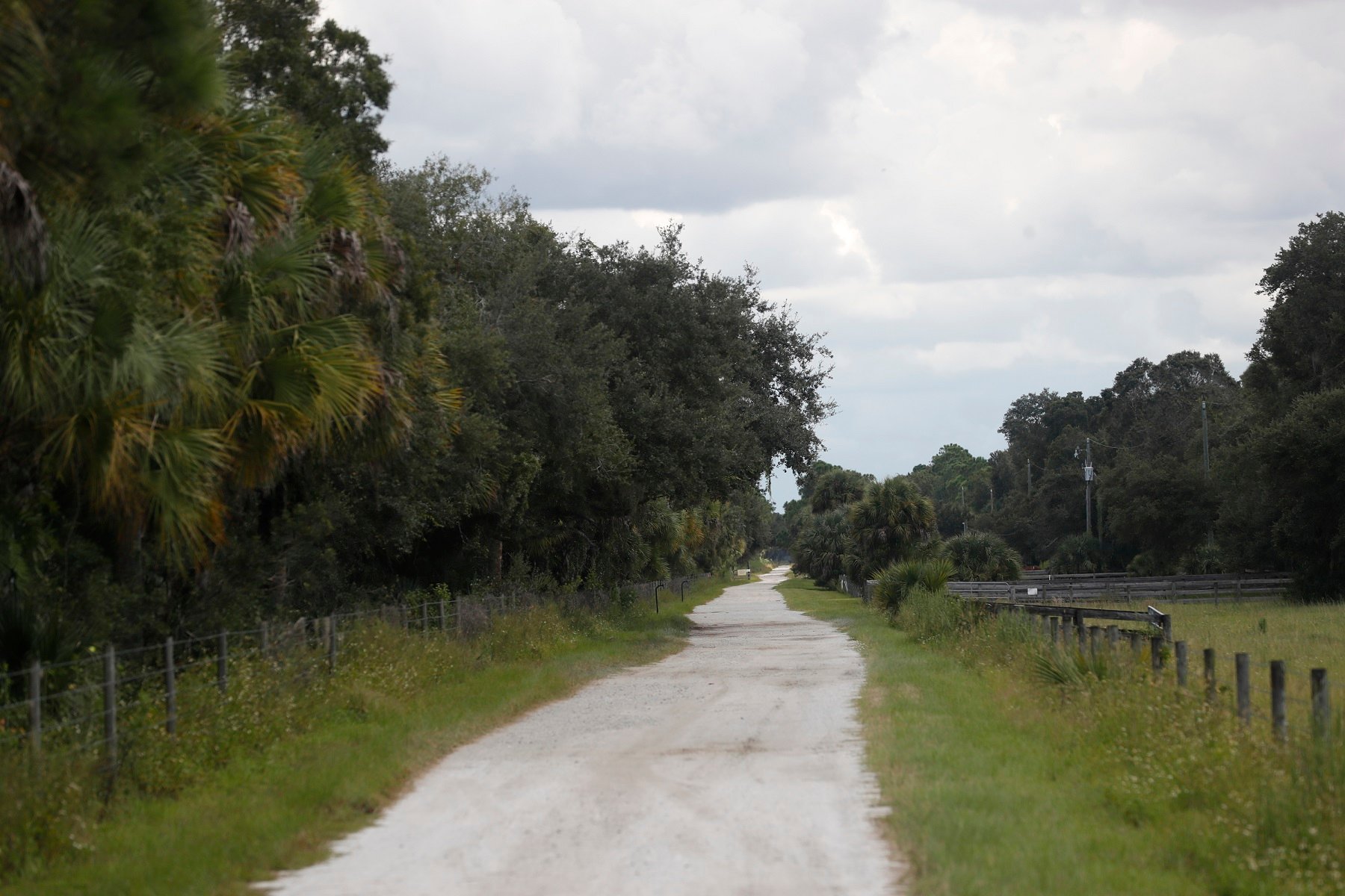 FBI agents are searching for Brian Laundrie in the Carlton Reserve