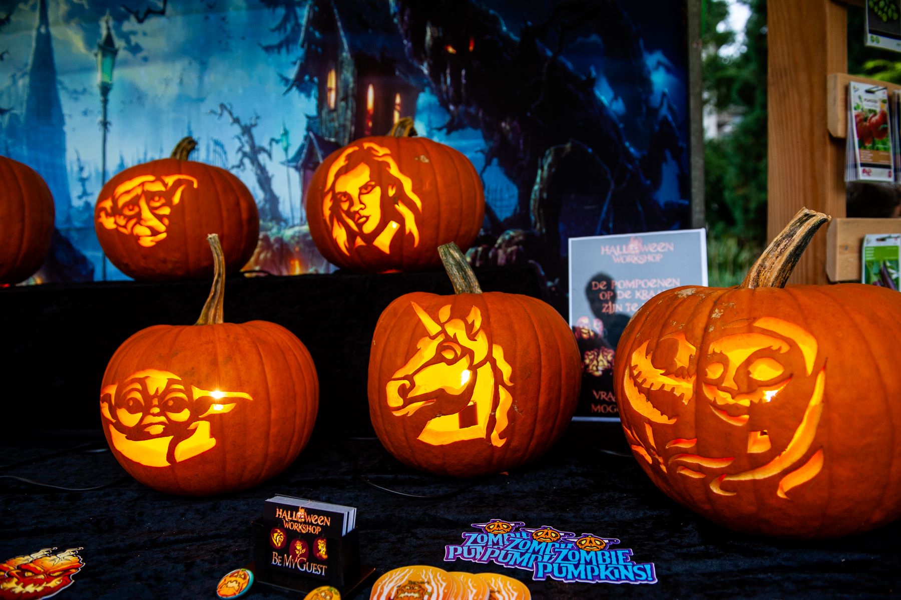 A collection of carved pumpkins decorated for Halloween