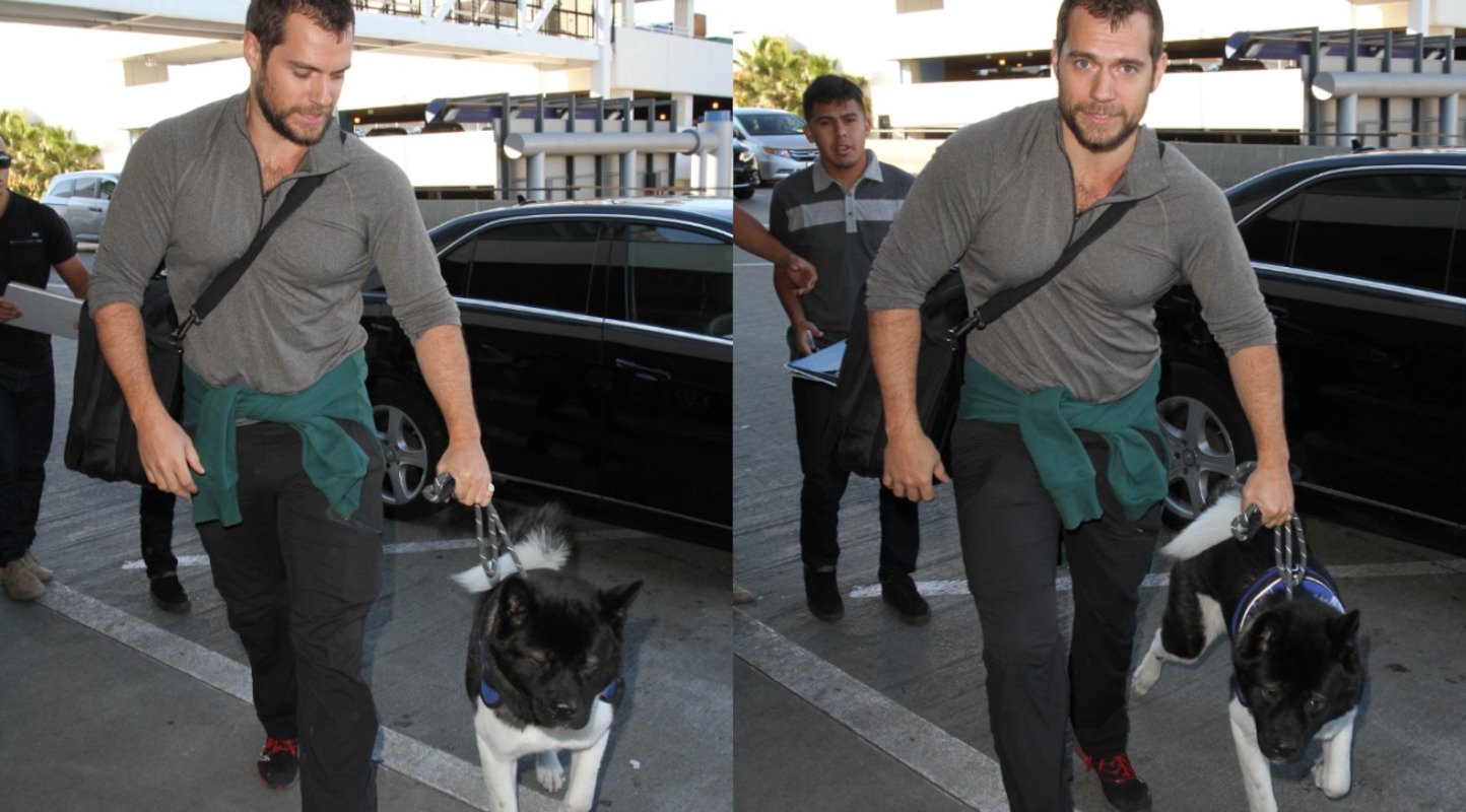 Superman star Henry Cavill and his dog Kal. Both photos show Cavill wearing a grey shirt and holding onto Kal's leash.