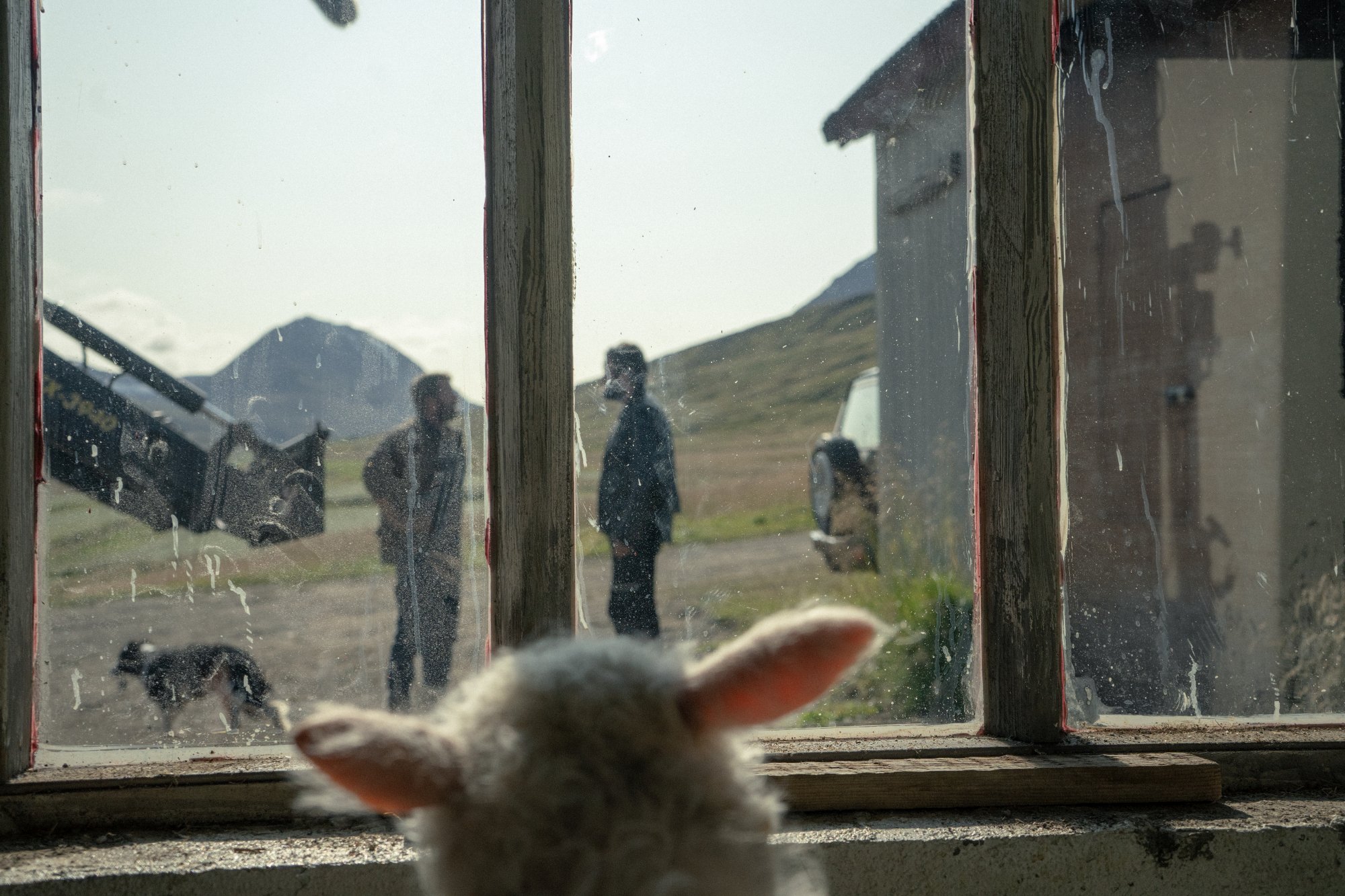 'Lamb' Ada looking out the window at Pétur and Ingvar