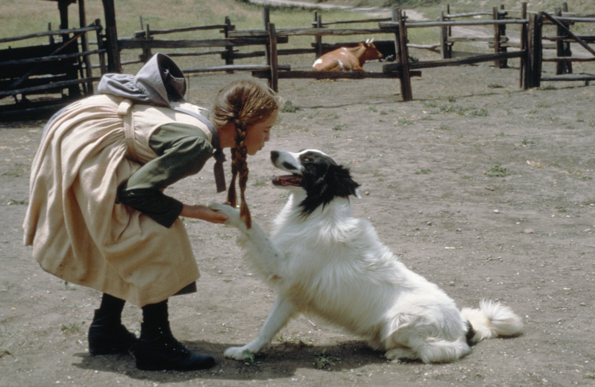 Little House on the Prairie: Melissa Gilbert plays with a dog