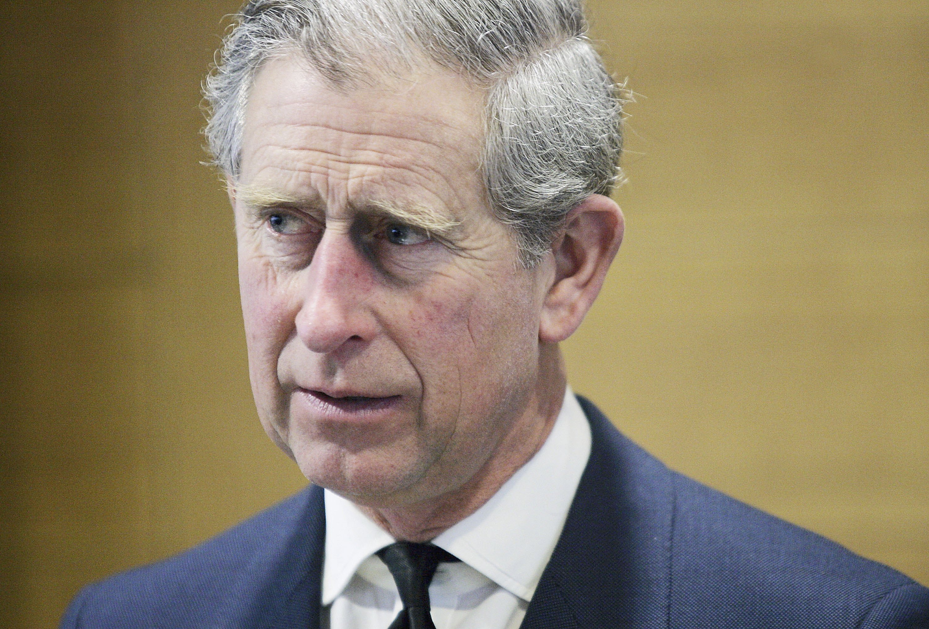 Photo of Prince Charles from the shoulders up addressing members of the Confederation of British Industry