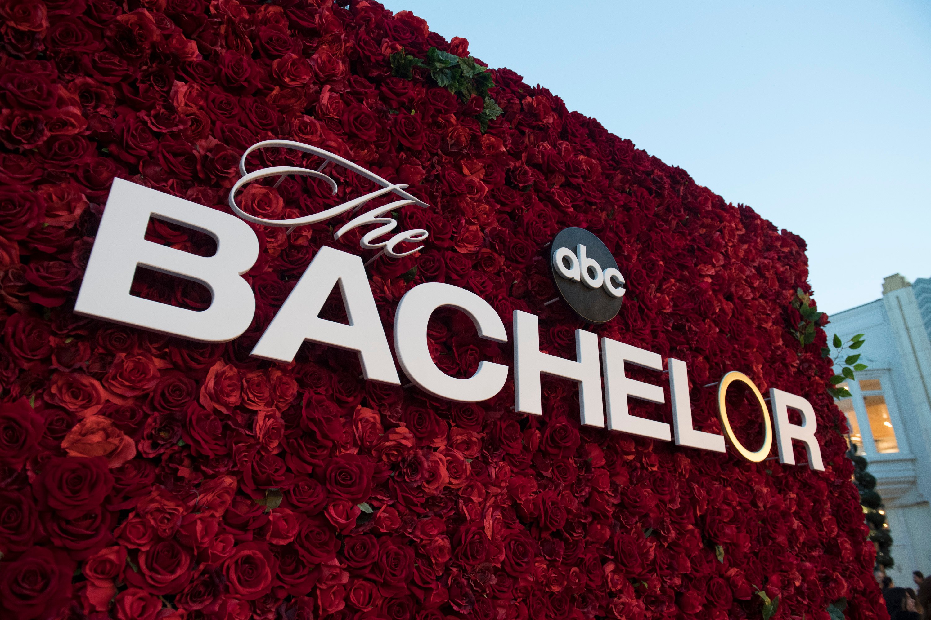 'The Bachelor' logo set within a wall of roses