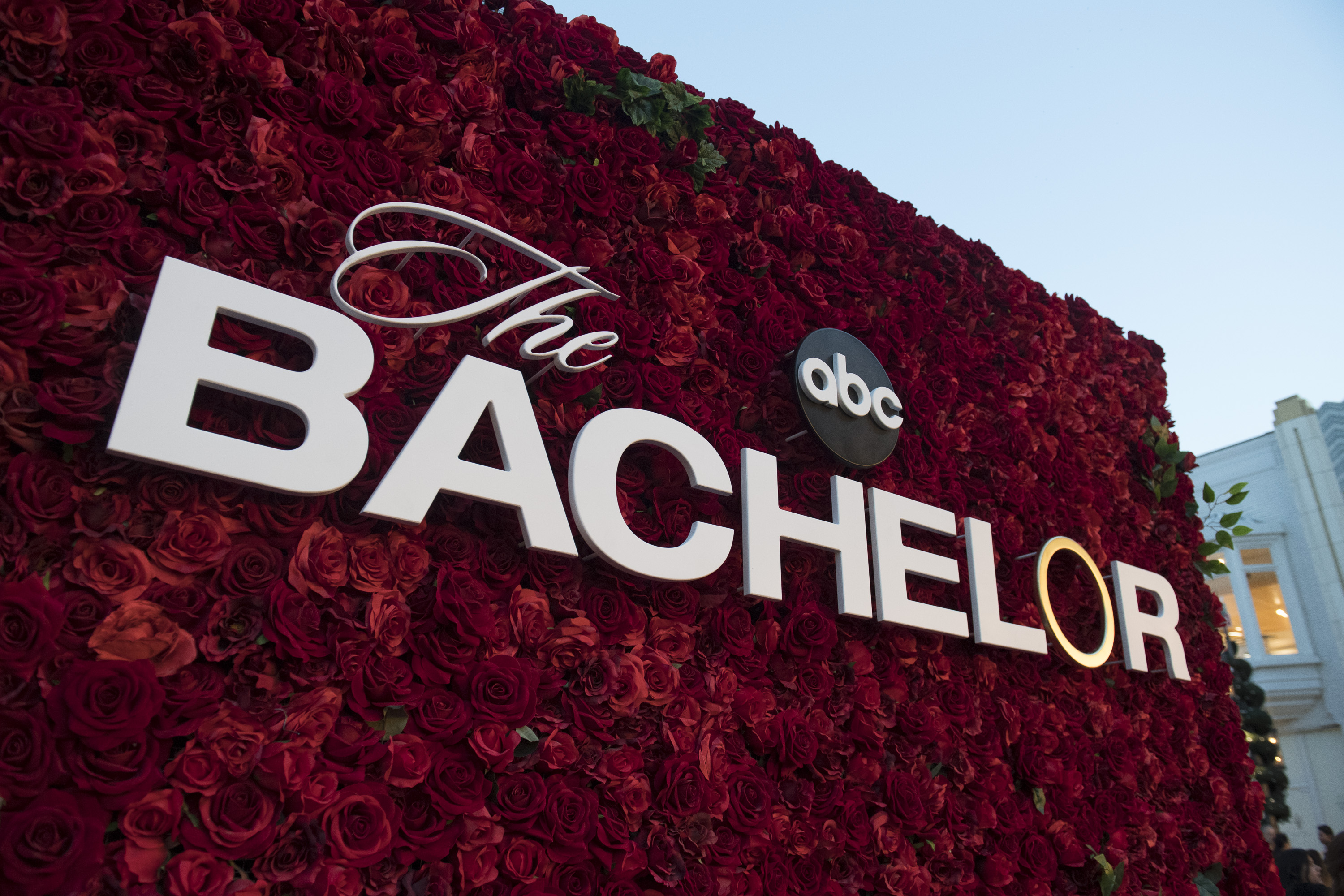 'The Bachelor' logo nestled in a wall of red roses