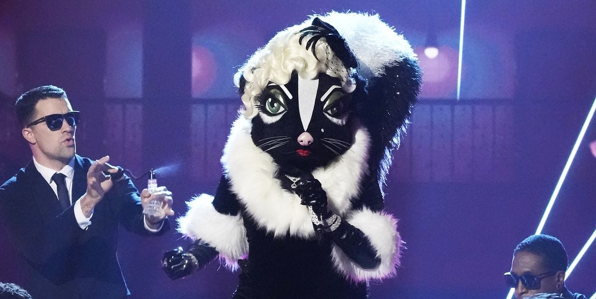 The Masked Singer featuring The Skunk
