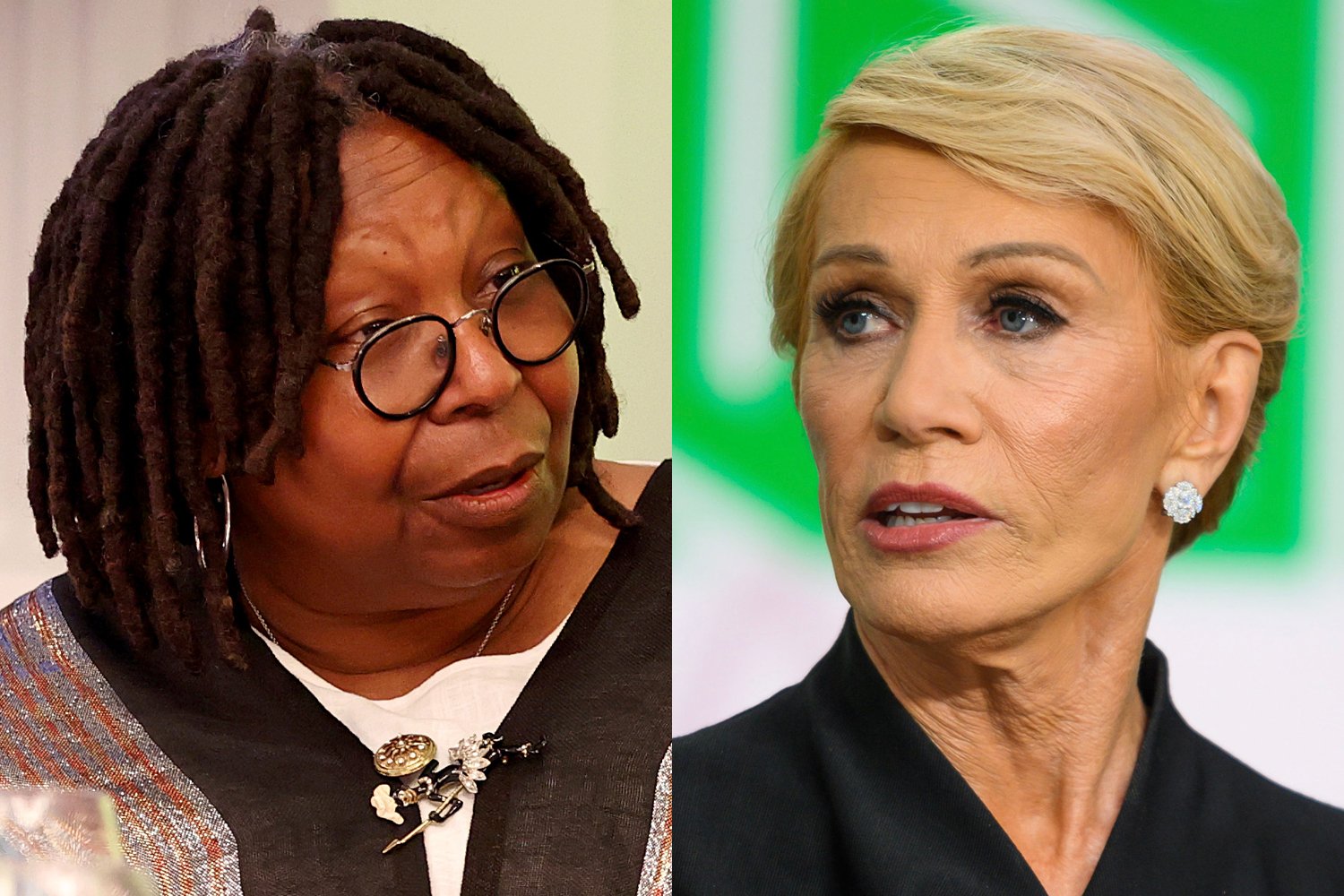 Whoopi Goldberg and Barbara Corcoran