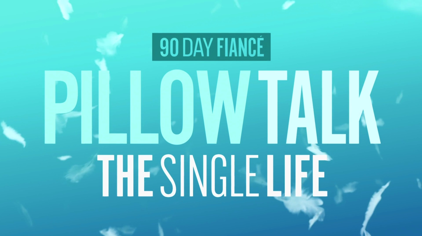 '90 Day: The Single Life' Season 1 'Pillow Talk' logo includes white letters on a blue background
