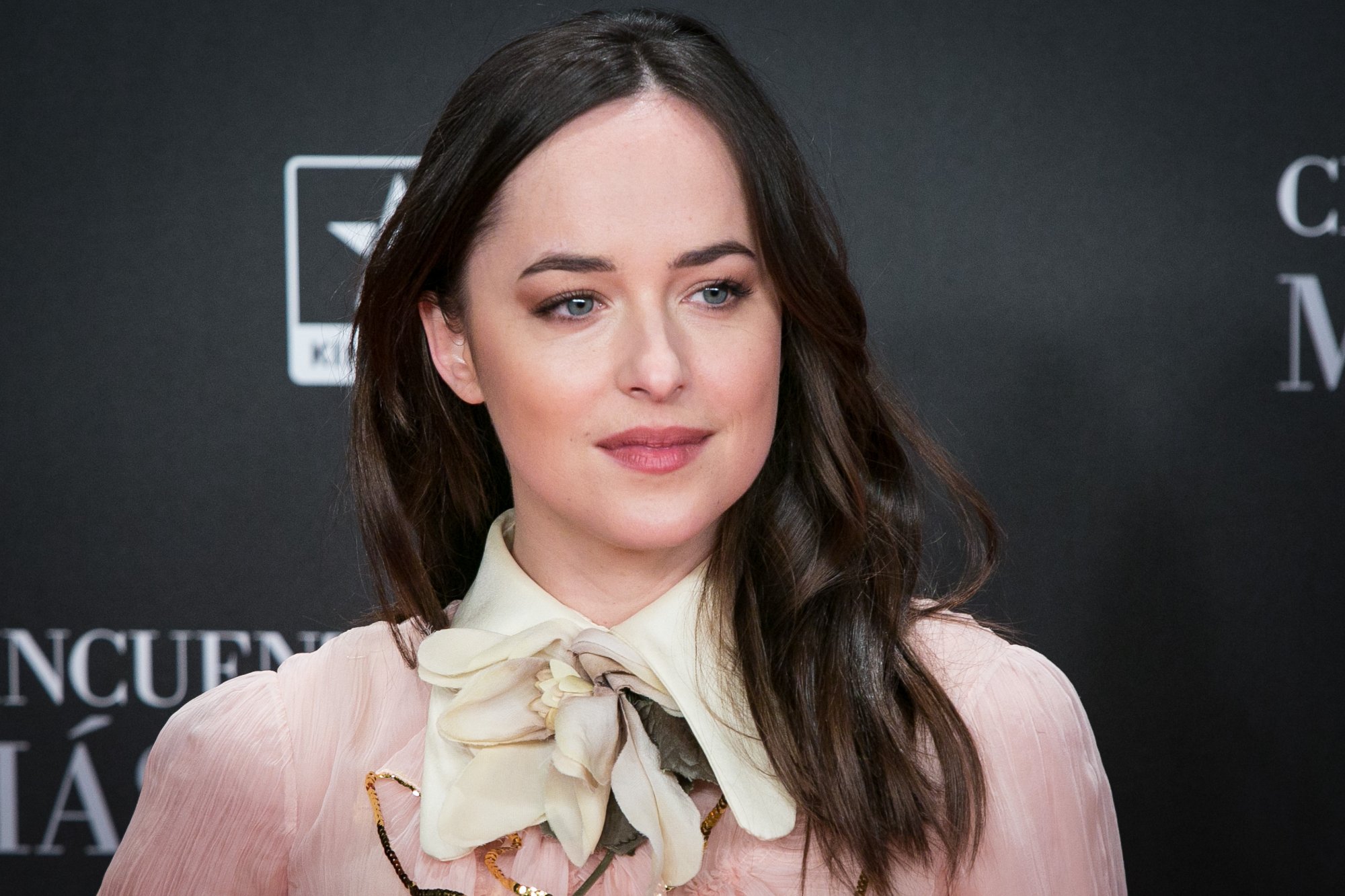 'Fifty Shades' actor Dakota Johnson wearing a pink blouse in front of a black step and repeat