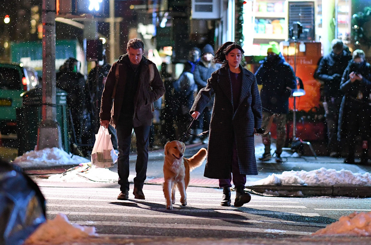 Jeremy Renner, Jolt, and Hailee Steinfeld as Clint Barton, Lucky the Pizza Dog, and Kate Bishop in 'Hawkeye'