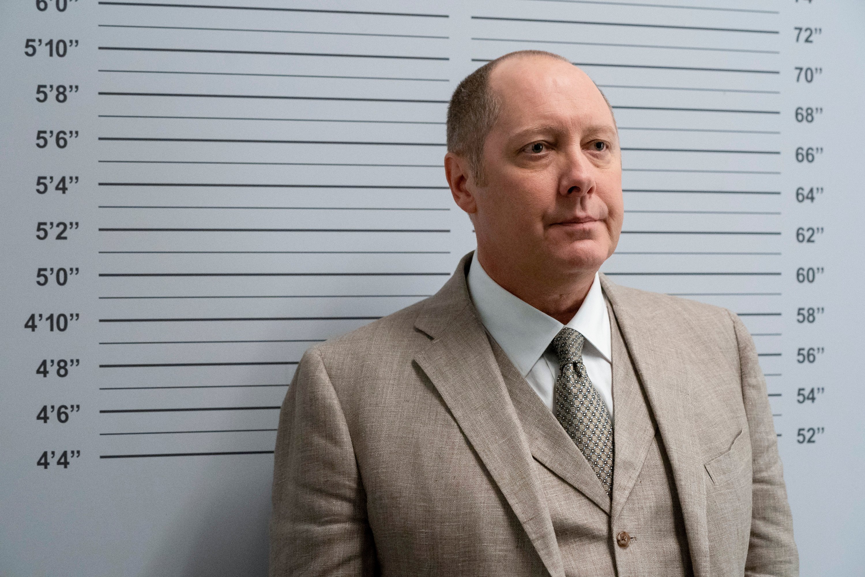 'The Blacklist' star James Spader, in character as Red, wears a light gray suit and tie as he poses for his mugshot.