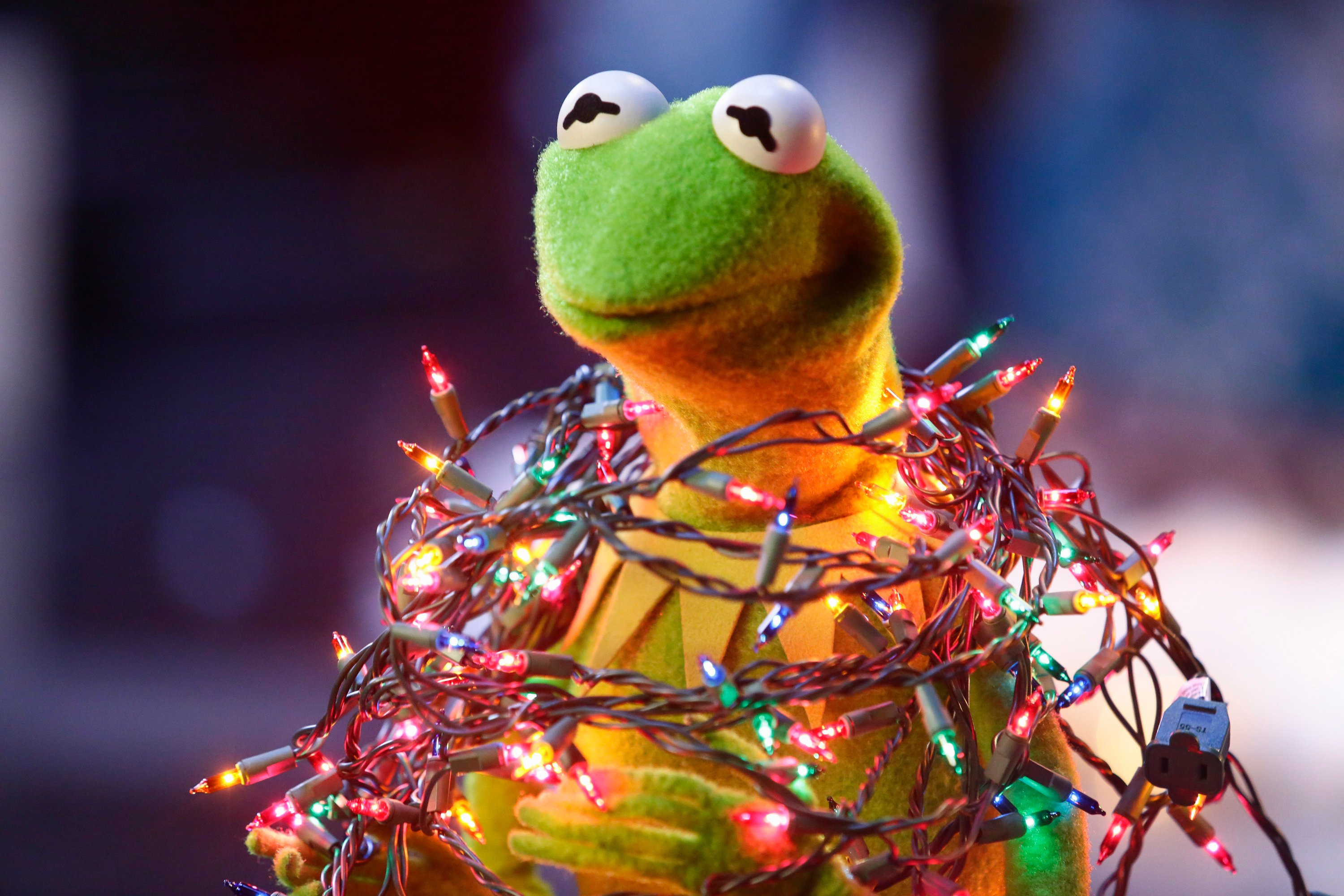 The Muppets in 'Single All the Way'