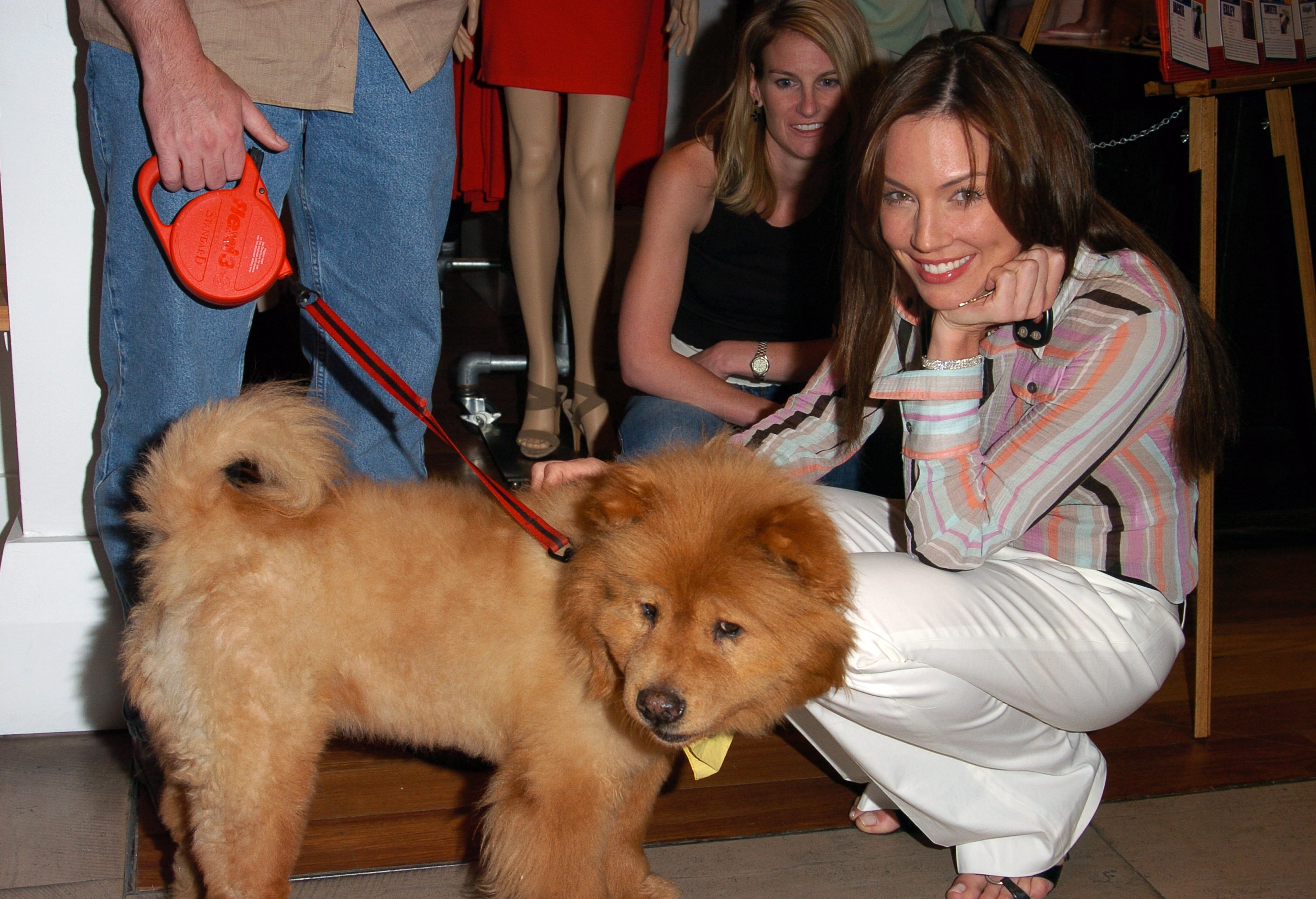 'The Bold and the Beautiful' actor Krista Allen wearing white pants and a striped shirt; pets a dog.