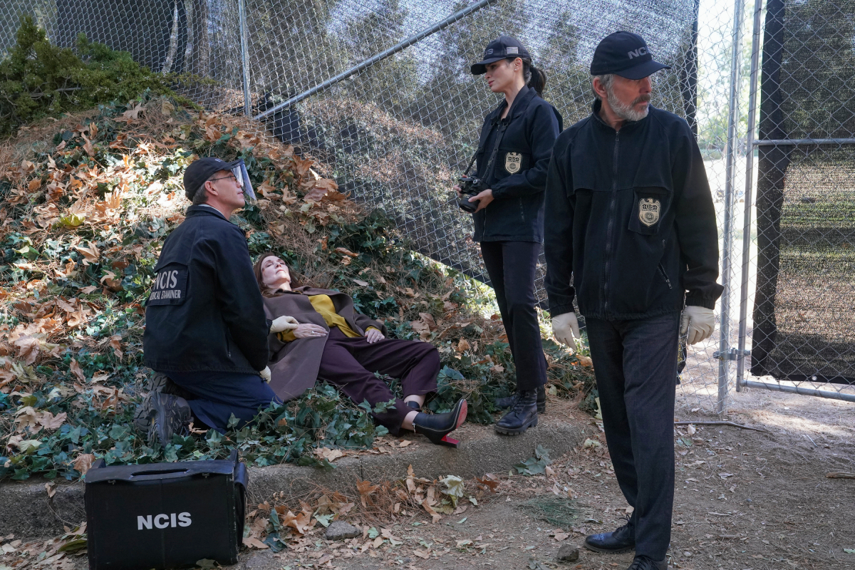 NCIS season 19 stars Brian Dietzen as Medical Examiner Jimmy Palmer, Katrina Law as NCIS Special Agent Jessica Knight, Gary Cole as FBI Special Agent Alden Parker in the episode titles Collective Memory