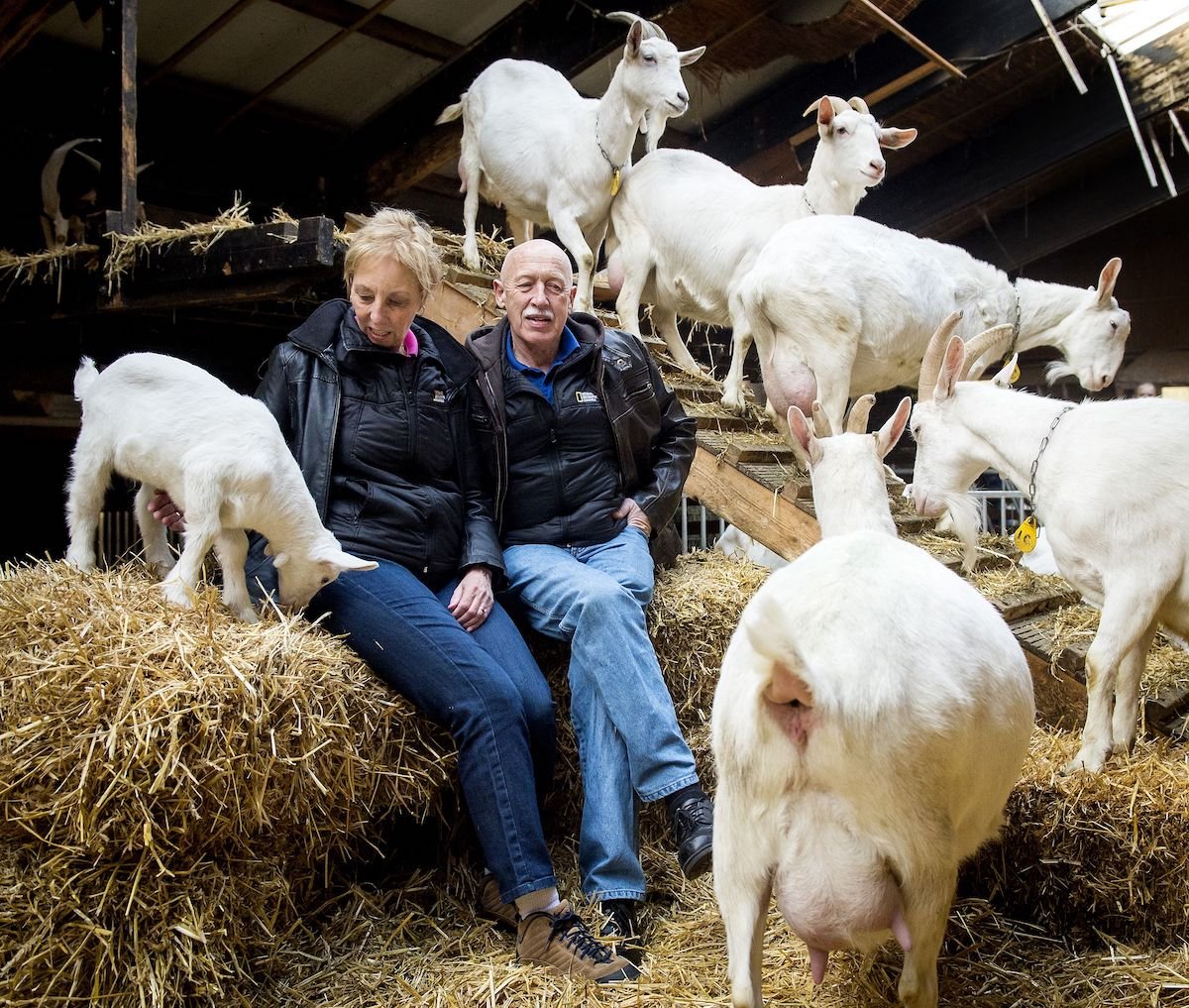 'The Incredible Dr. Pol' star Dr. Jan Pol and his wife Diane at the Ridammerhoeve goat farm in Amsterdam on February 17, 2016