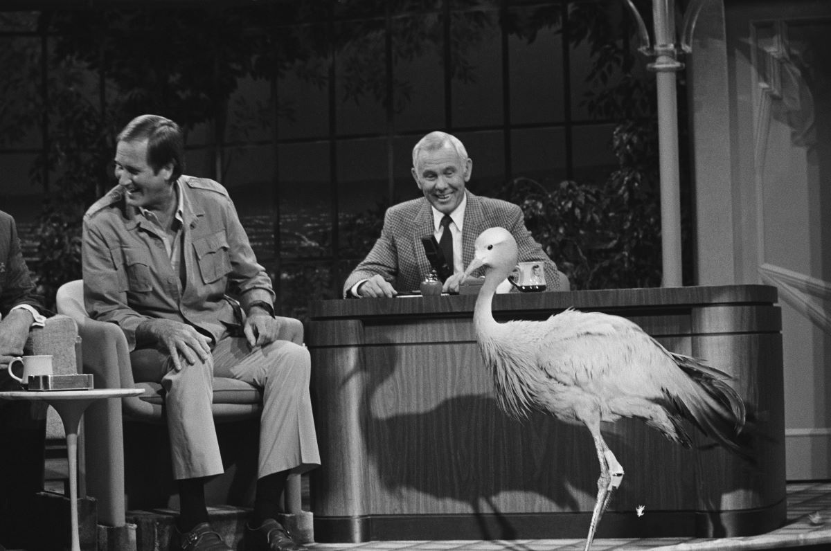 Jim Fowler sits in a chair beside the 'Tonight Show' desk as Johnny Carson watches a Crane with an artificial leg.