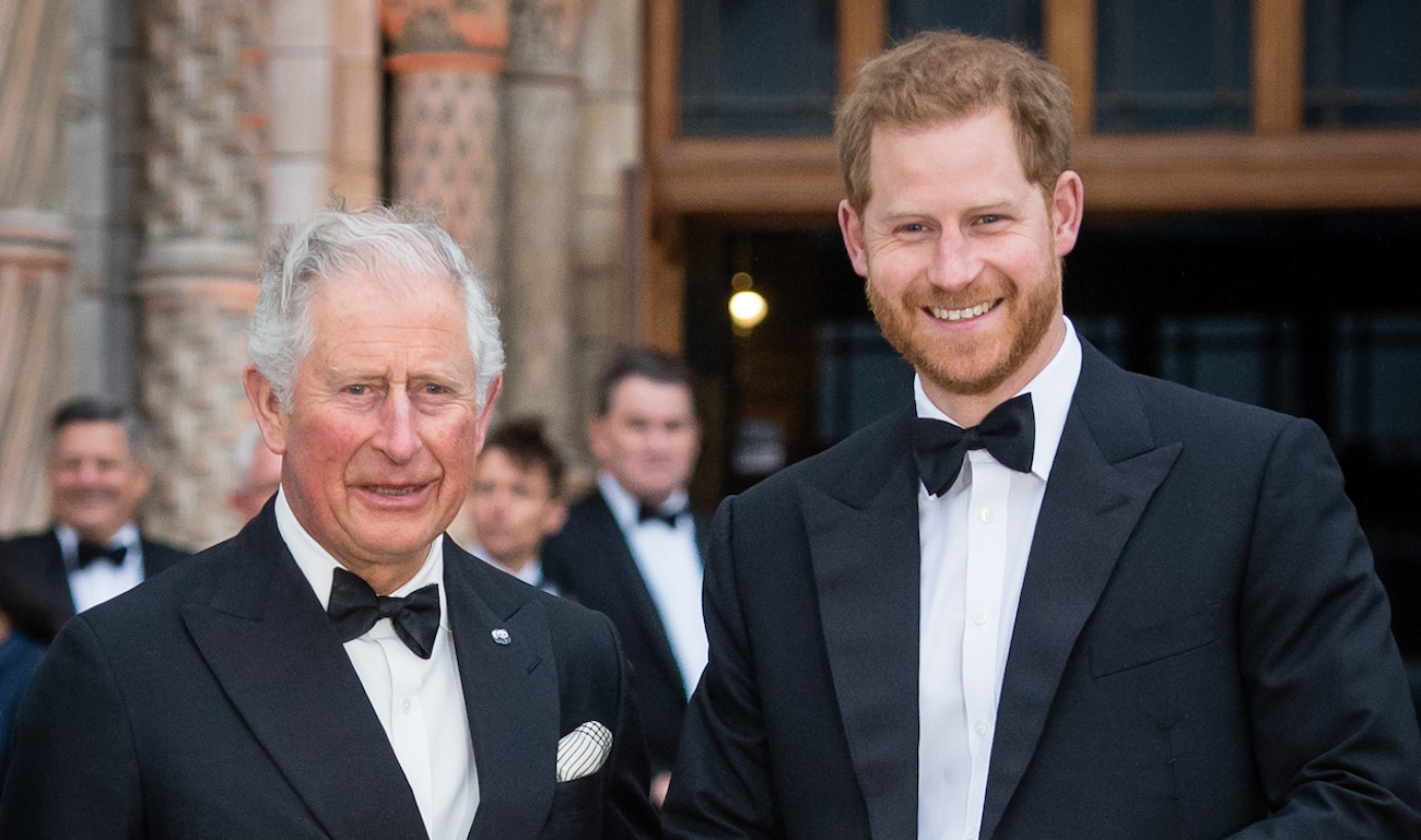Body Language Expert Points Out Subtle Clue in King Charles’ Birthday Photo That Connects Him to Prince Harry
