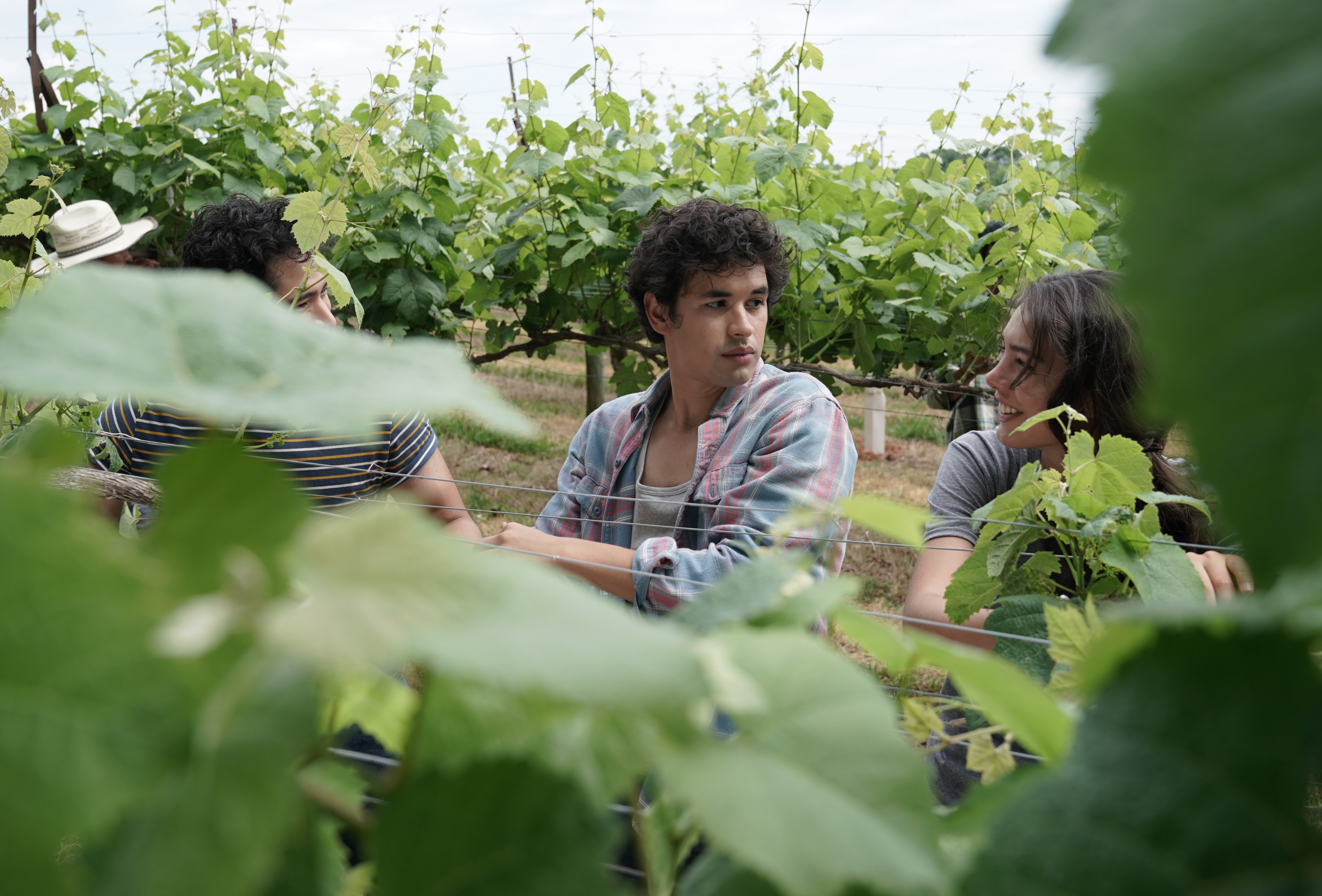 'Promised Land' cast members Andres Velez and Katya Martin as Carlos and Juana speaking in a vineyard.