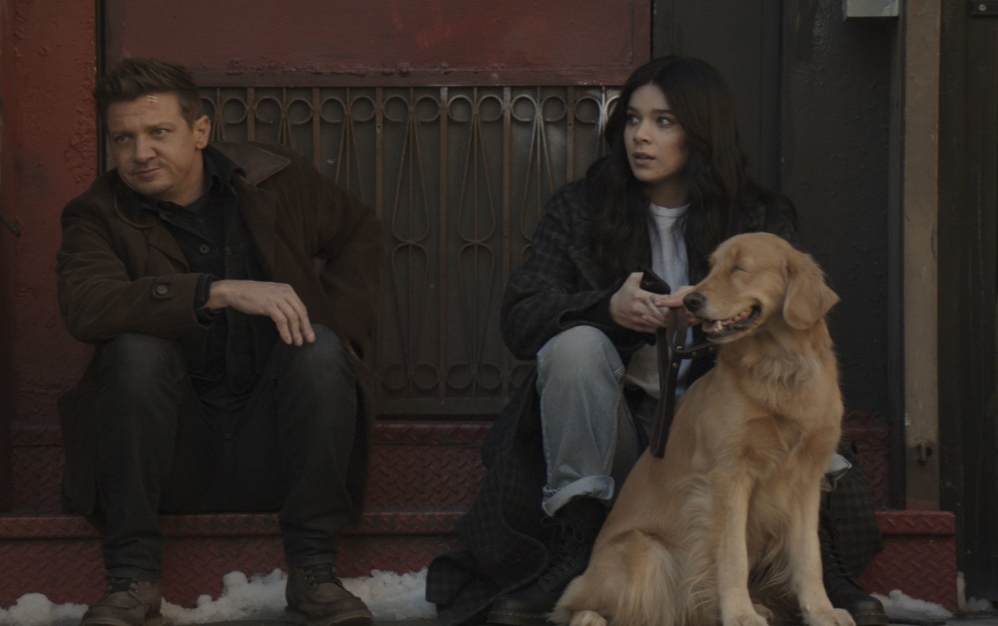 Jeremy Renner and Hailee Steinfeld with Jolt (Lucky the Pizza Dog) in 'Hawkeye'