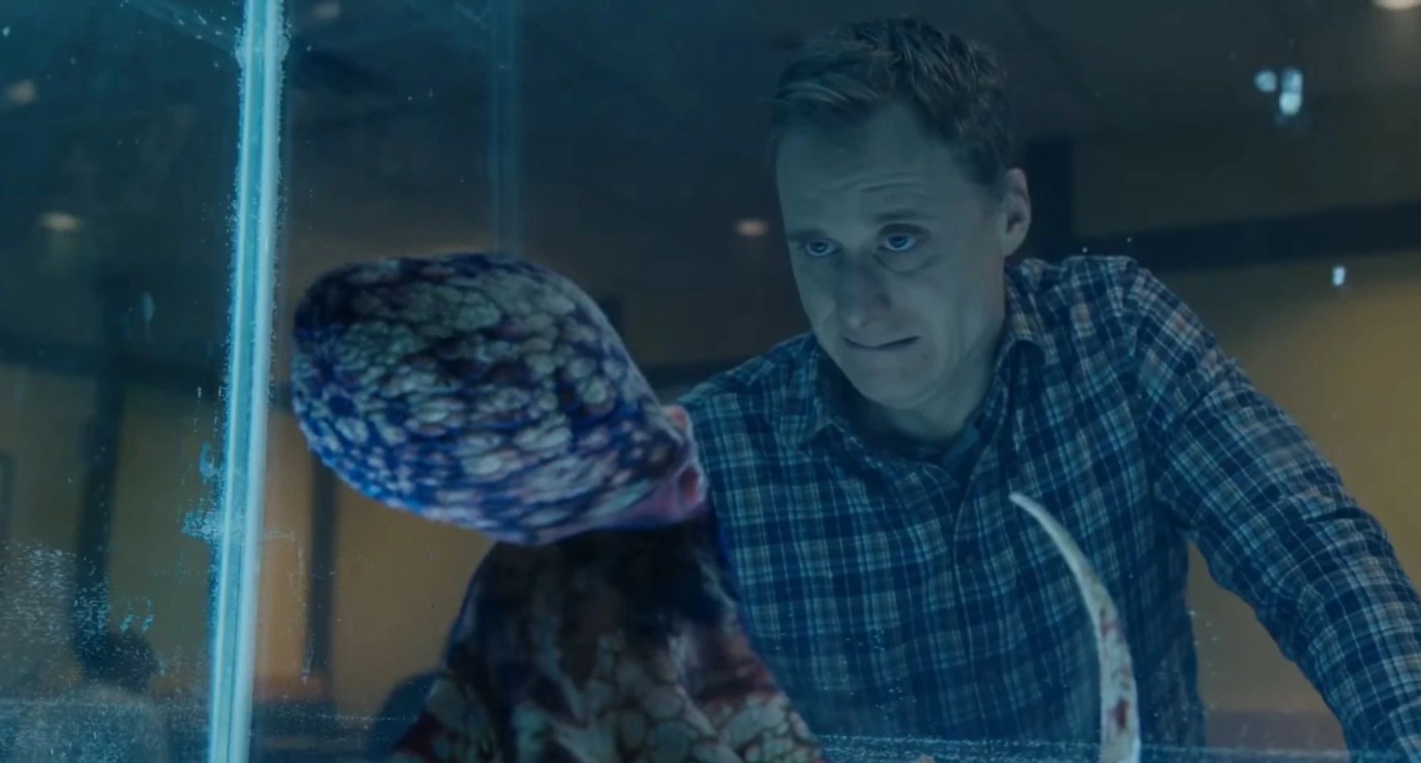 Alan Tudyk and octopus in 'Resident Alien' series talking through a fish tank.