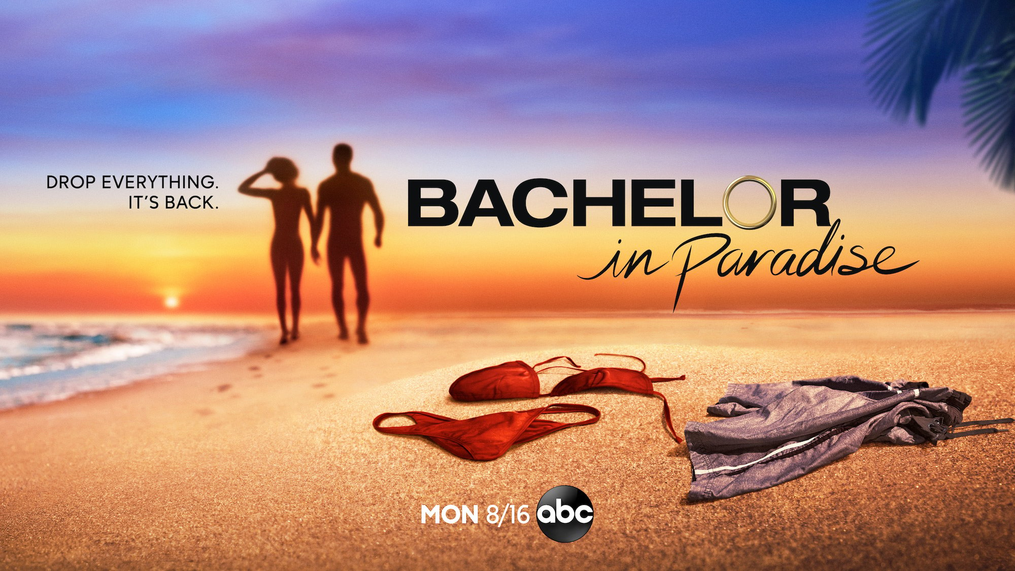 The 'Bachelor in Paradise' logo is seen here with the silhouette of two people walking on the beach. 'Bachelor in Paradise' often makes its cast up of current contestants from 'The Bachelor.'