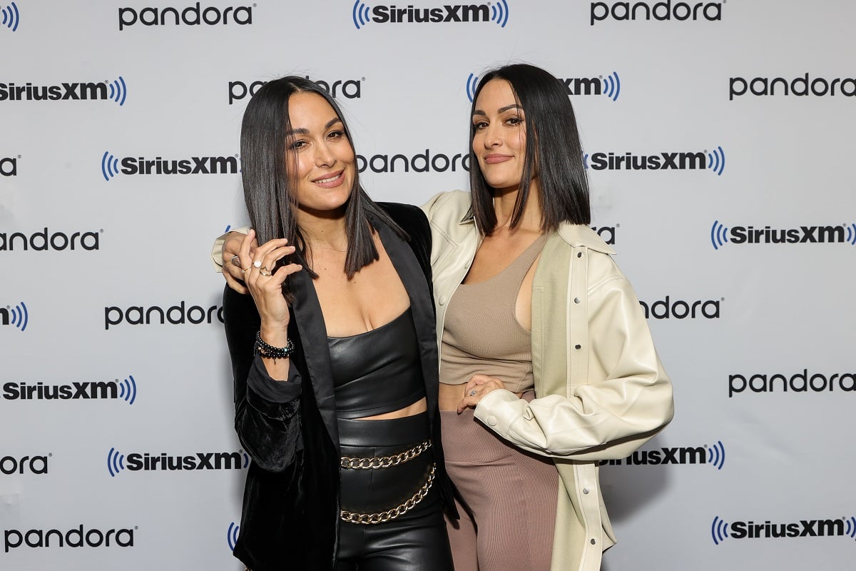 WWE star Brie Bella in a black outfit, and Nikki Bella in a beige and white outfit.