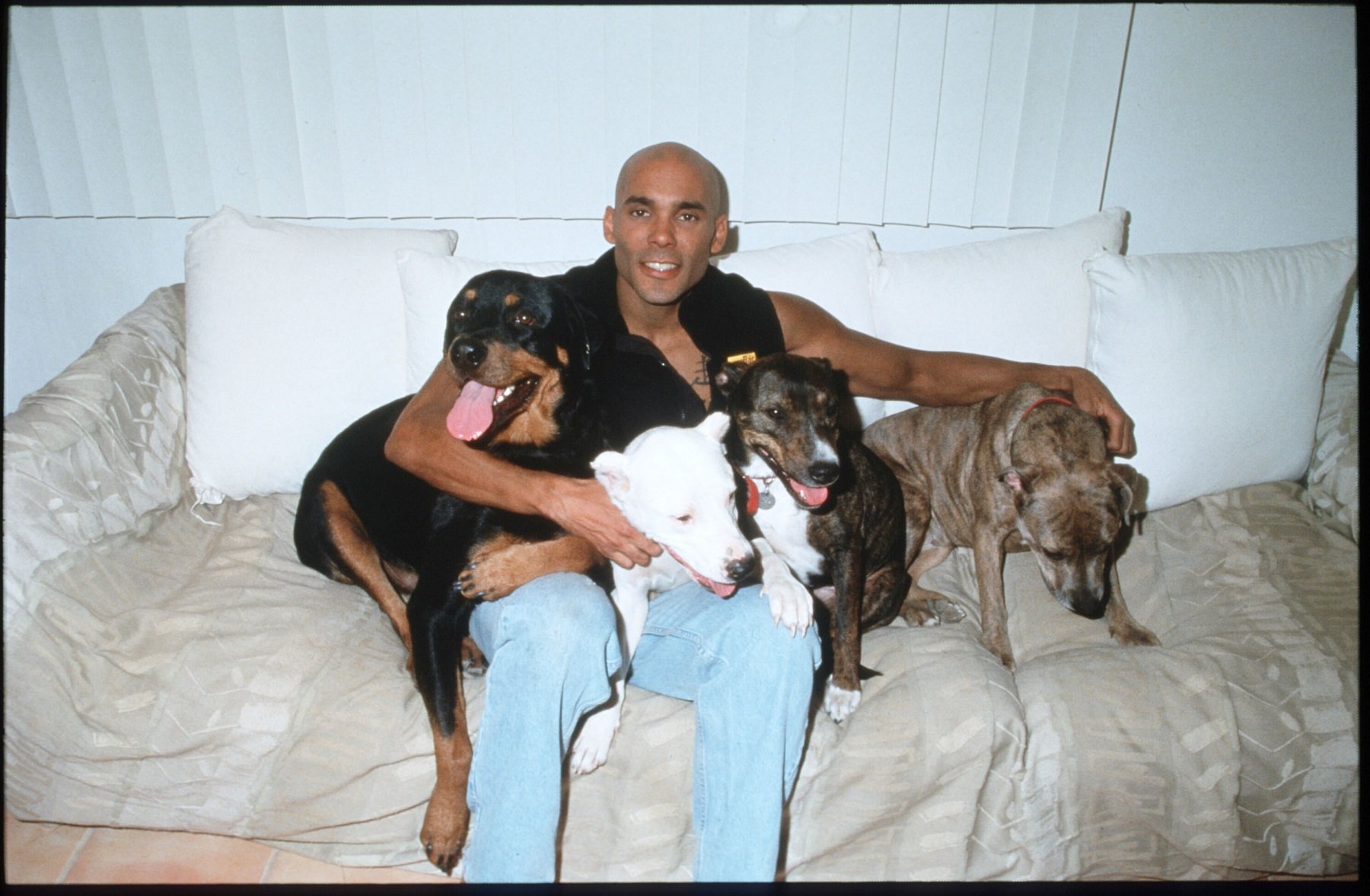 General Hospital star Réal Andrews in blue jeans and surrounded by dogs