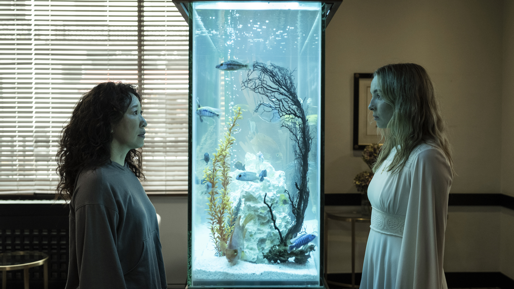 'Killing Eve' Season 4: Eve stares at Villanelle through a fish tank