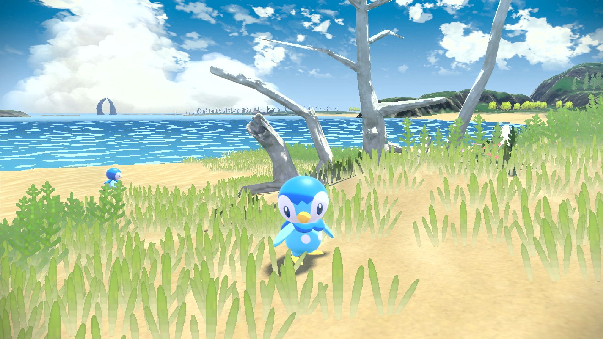 Wild Piplup near the beach in 'Pokémon Legends: Arceus'