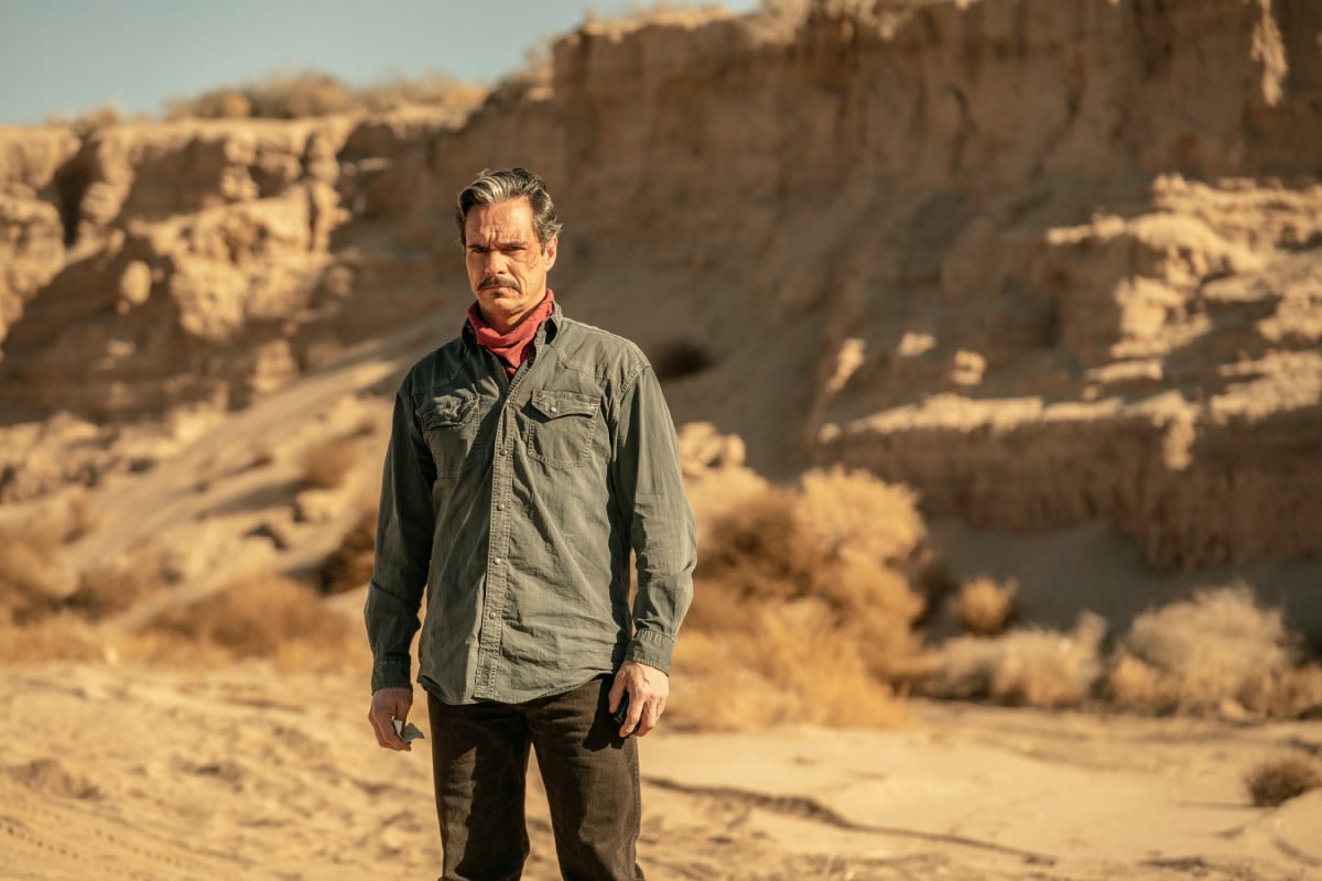Tony Dalton as Lalo in Better Call Saul Season 6. Lalo stands in the desert