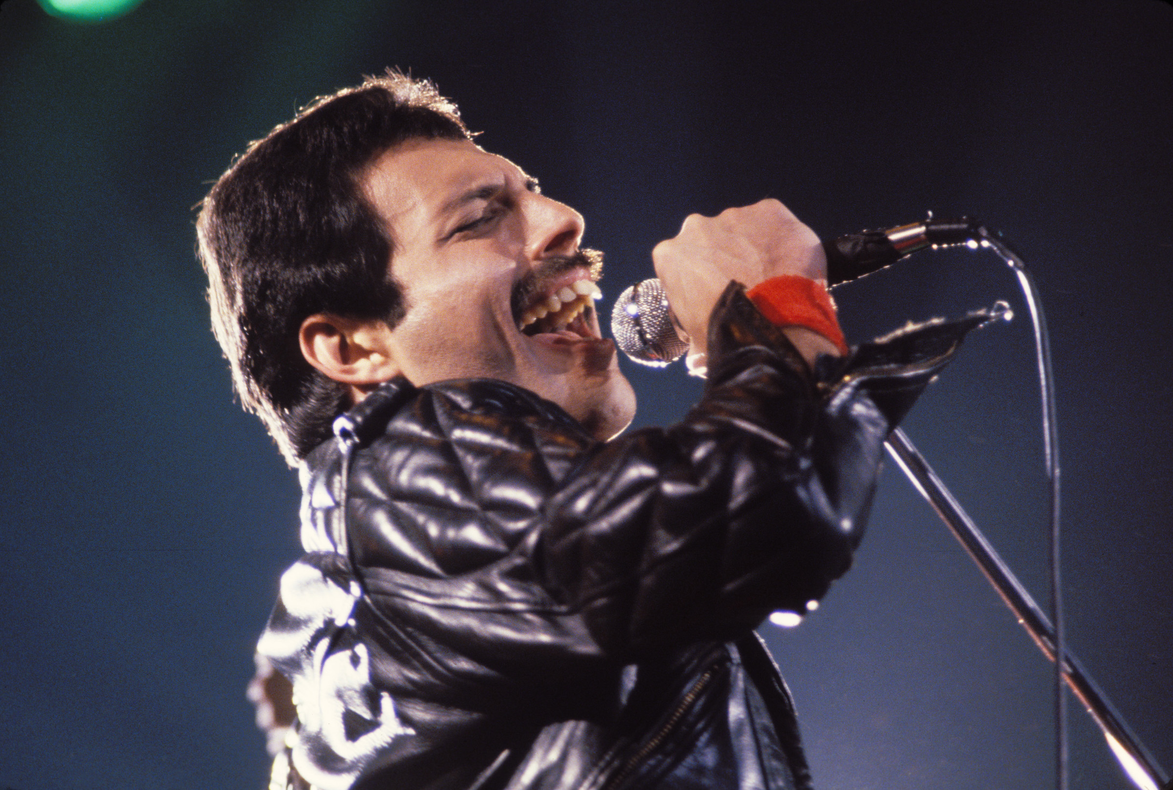 Freddie Mercury singing into a mic