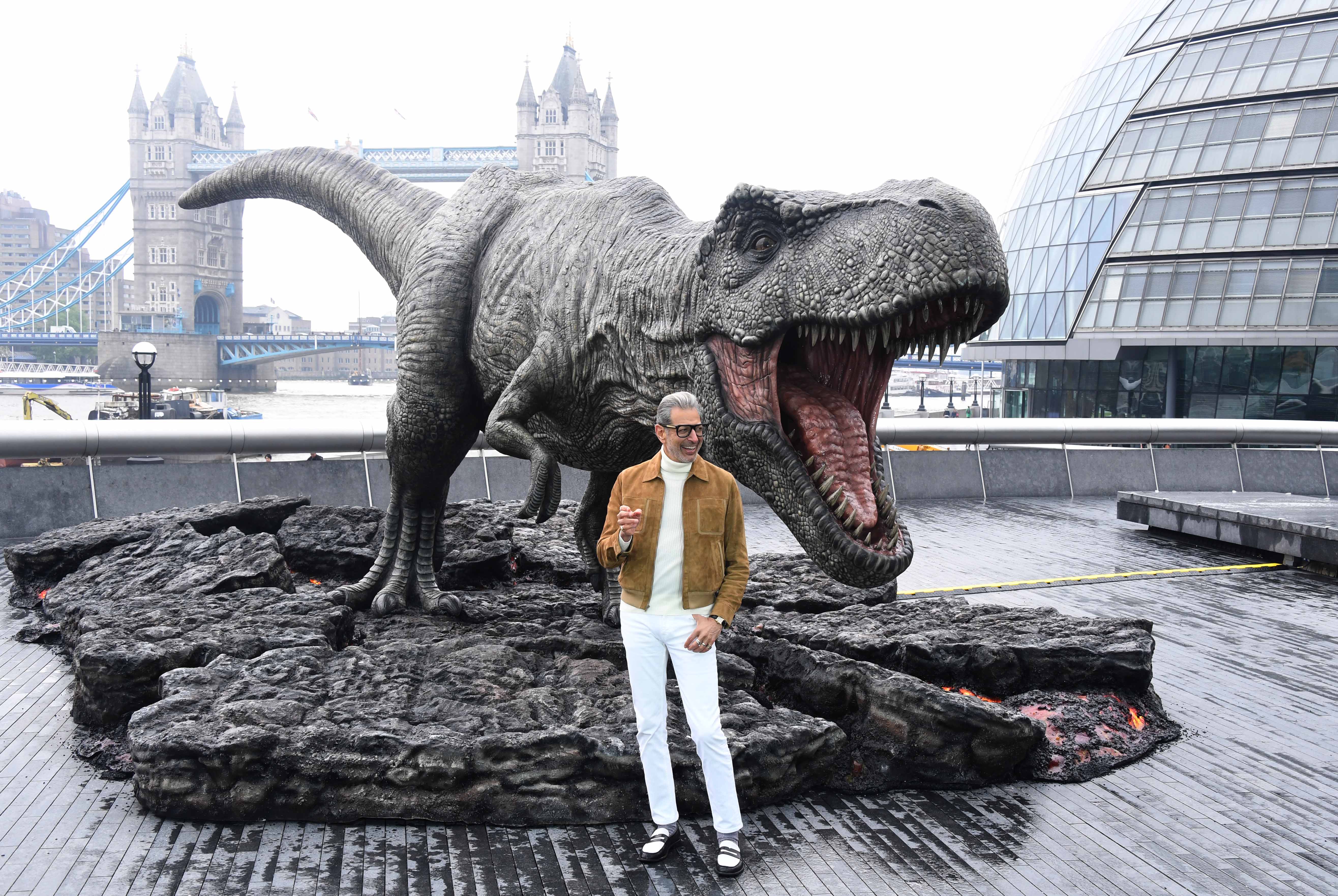 Jeff Goldblum attends the photo call for the movie Jurassic World: Fallen Kingdom