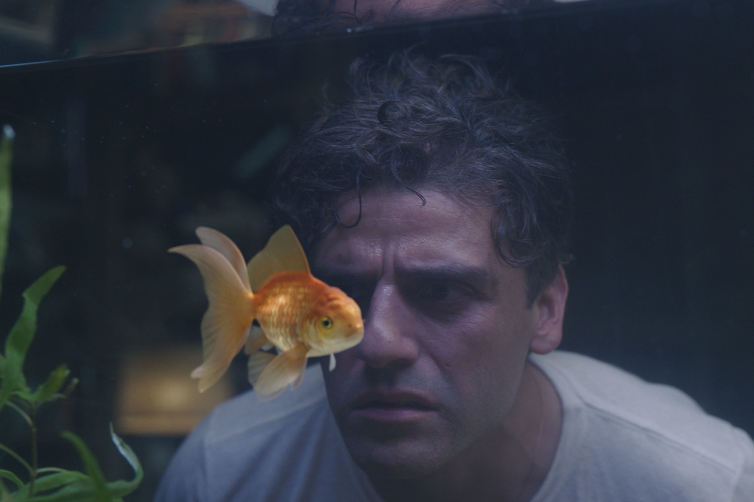 'Moon Knight' Episode 1, which doesn't have a post-credits scene, stars Oscar Isaac as Steven Grant, who wears a white shirt and stares at a goldfish in the photo.