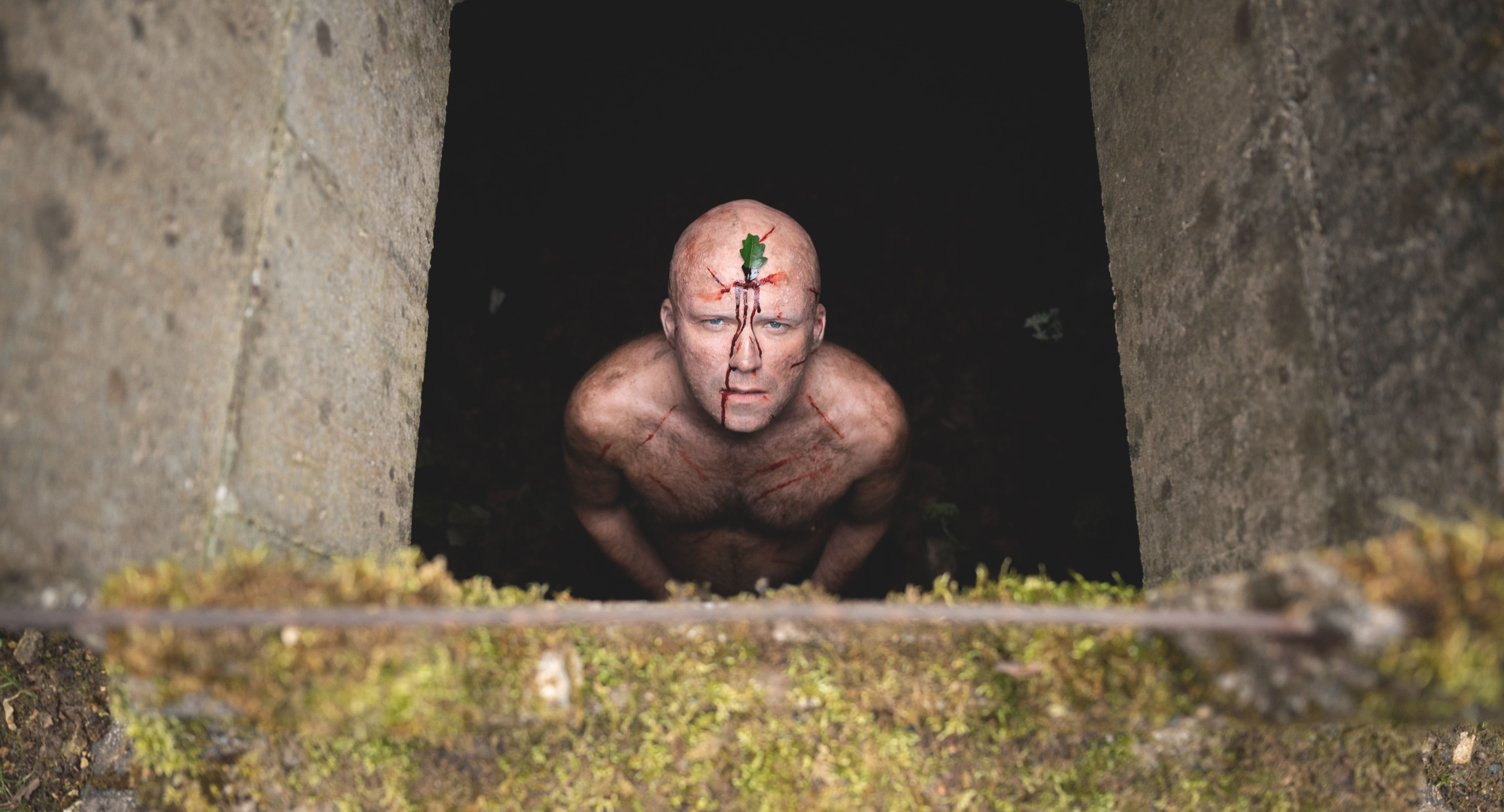 'Men' Rory Kinnear as Geoffrey looking up, naked with a leaf attached to his forehead
