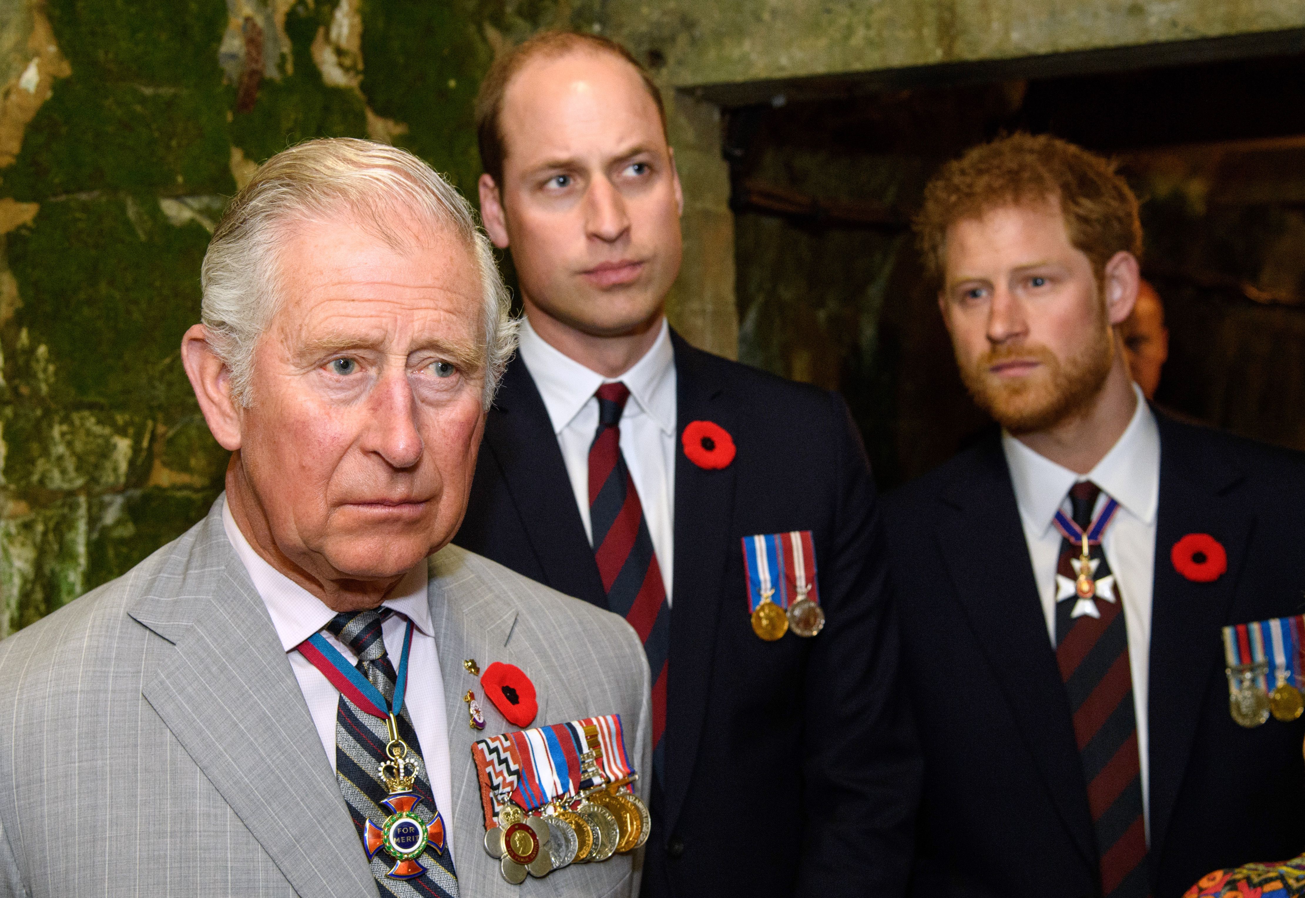 Prince Charles, Prince William, and Prince Harry, who is viewed as a "loose cannon," visit the tunnel and trenches at Vimy Memorial Park 