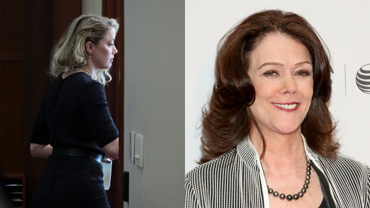 Kathleen Zellner said Amber Heard's case lacked credibility