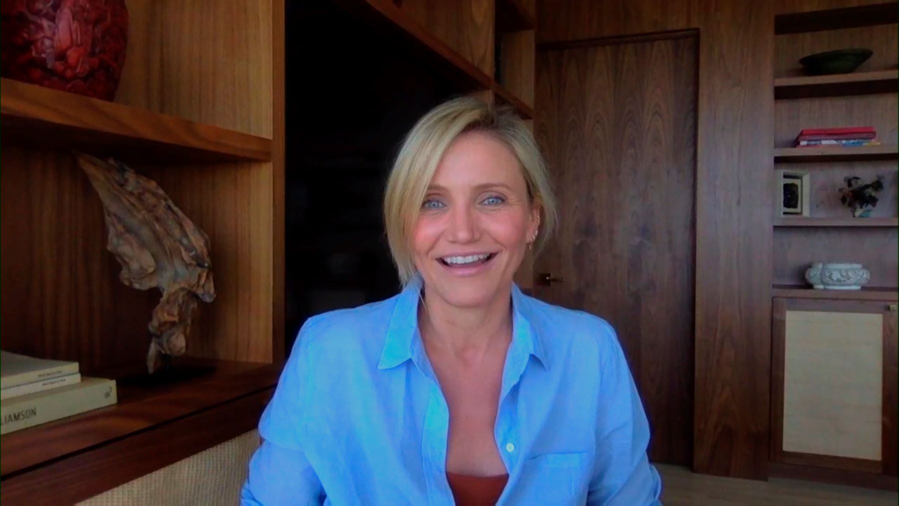 Cameron Diaz on 'The Tonight Show Starring Jimmy Fallon' through a webcam interview