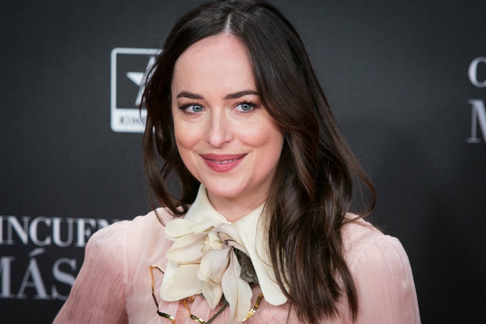 'Fifty Shades of Grey' actor Dakota Johnson smiling with a pink shirt on in front of movie step and repeat