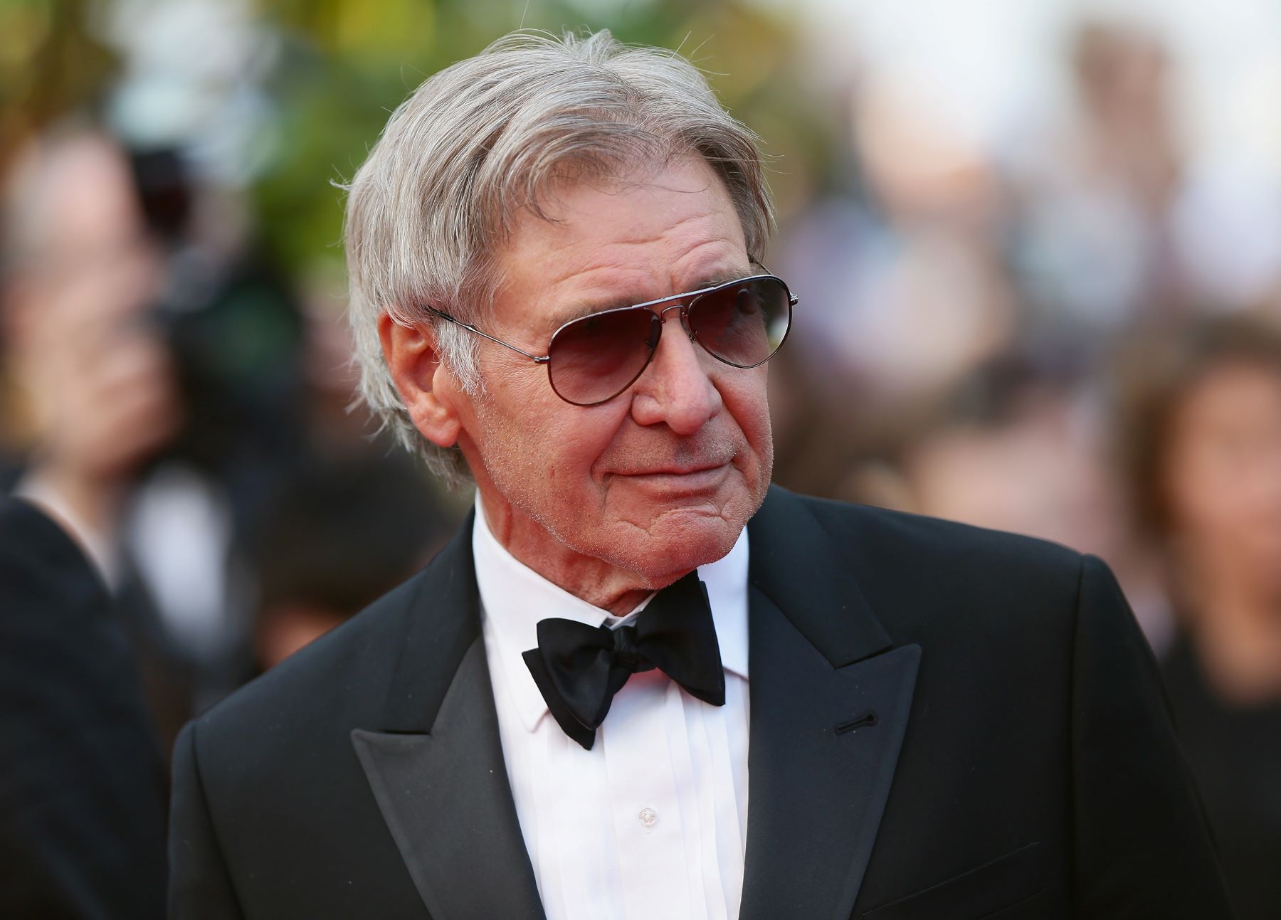 Harrison Ford at 'The Expendables 3' premiere at the 67th Annual Cannes Film Festival in France