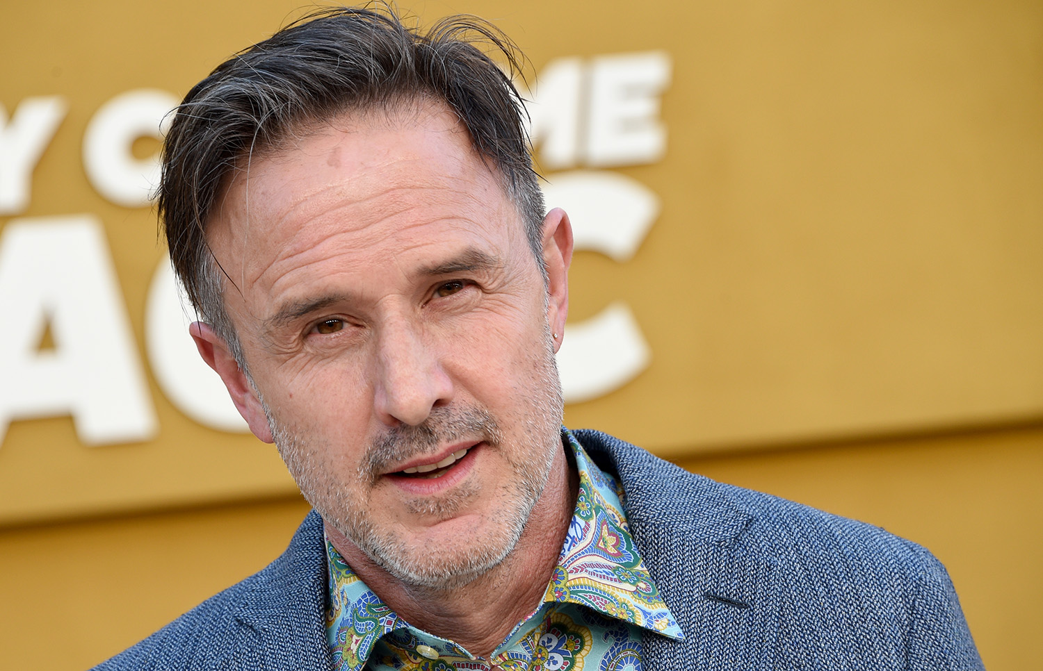The Quarry and Scream star David Arquette attends the premiere of They Call Me Magic