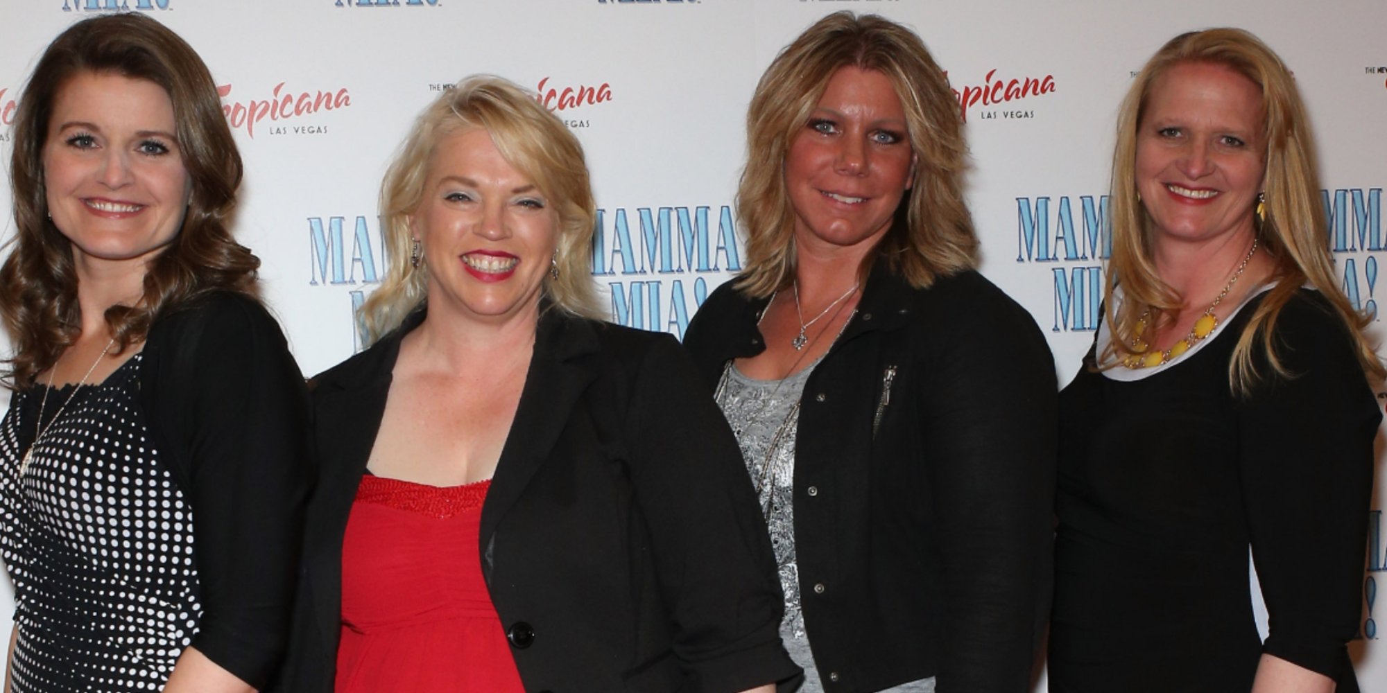 The cast of TLC's 'Sister Wives' includes Robyn, Janelle, Meri, and Christine Brown.
