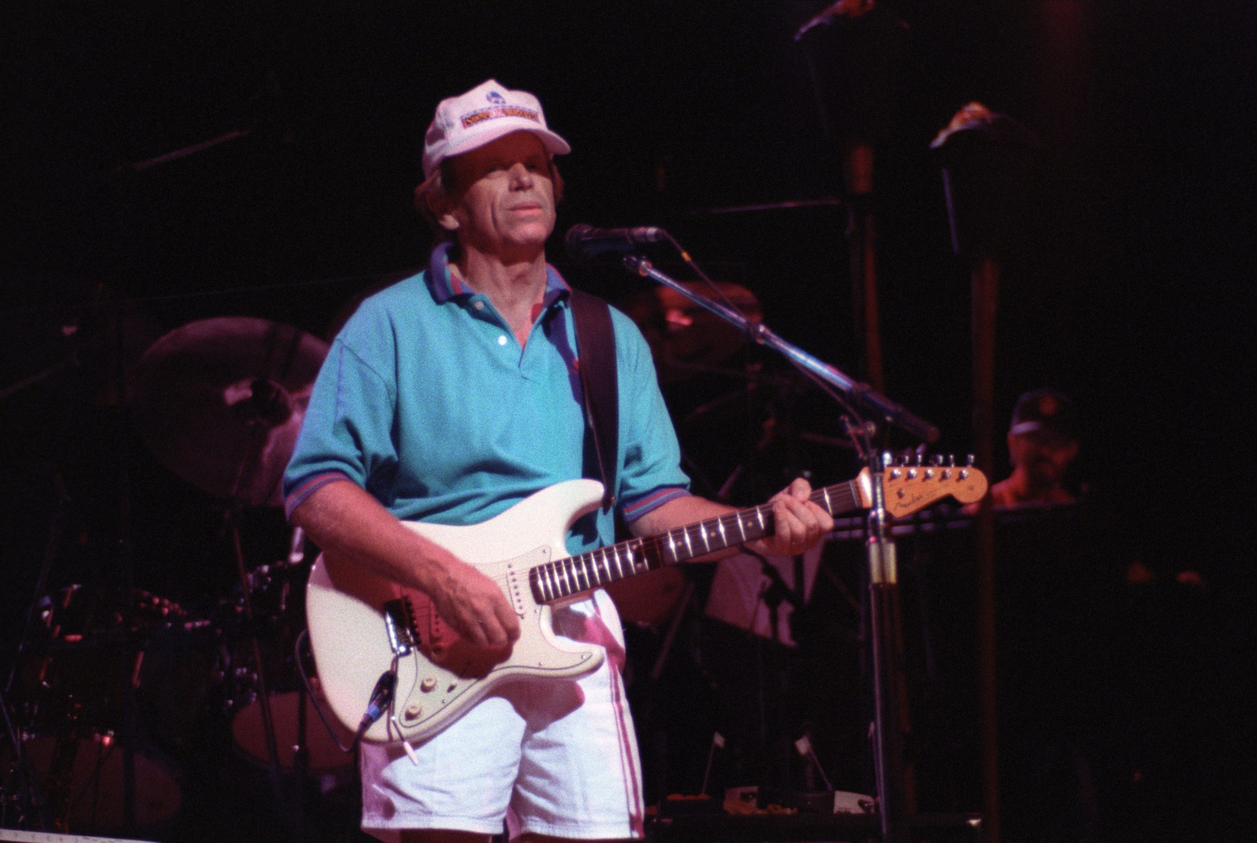 The Beach Boys perform on the Summer In Paradise Tour at the Minnesota State Fair