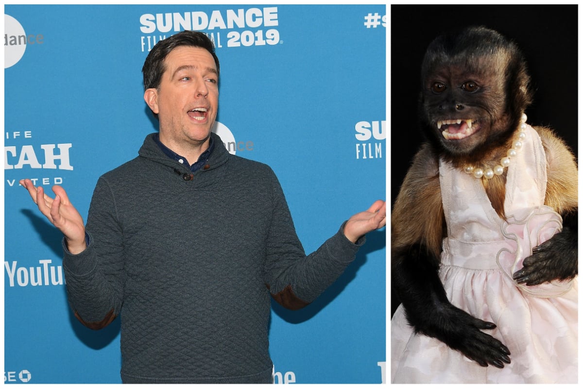 Ed Helms The Hangover Part II Crystal the Monkey