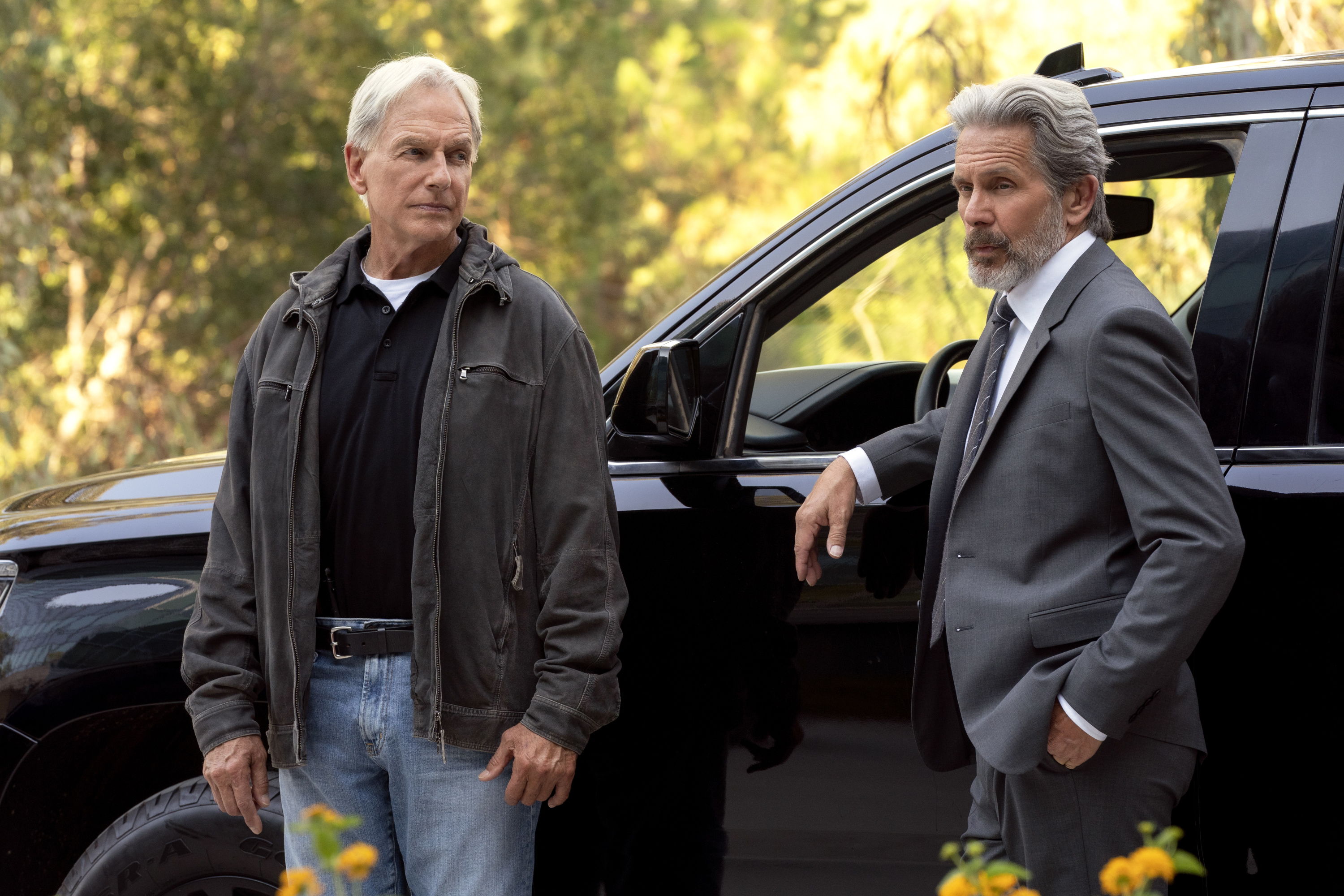 Mark Harmon and Gary Cole play Gibbs and Alden Cooper on NCIS.