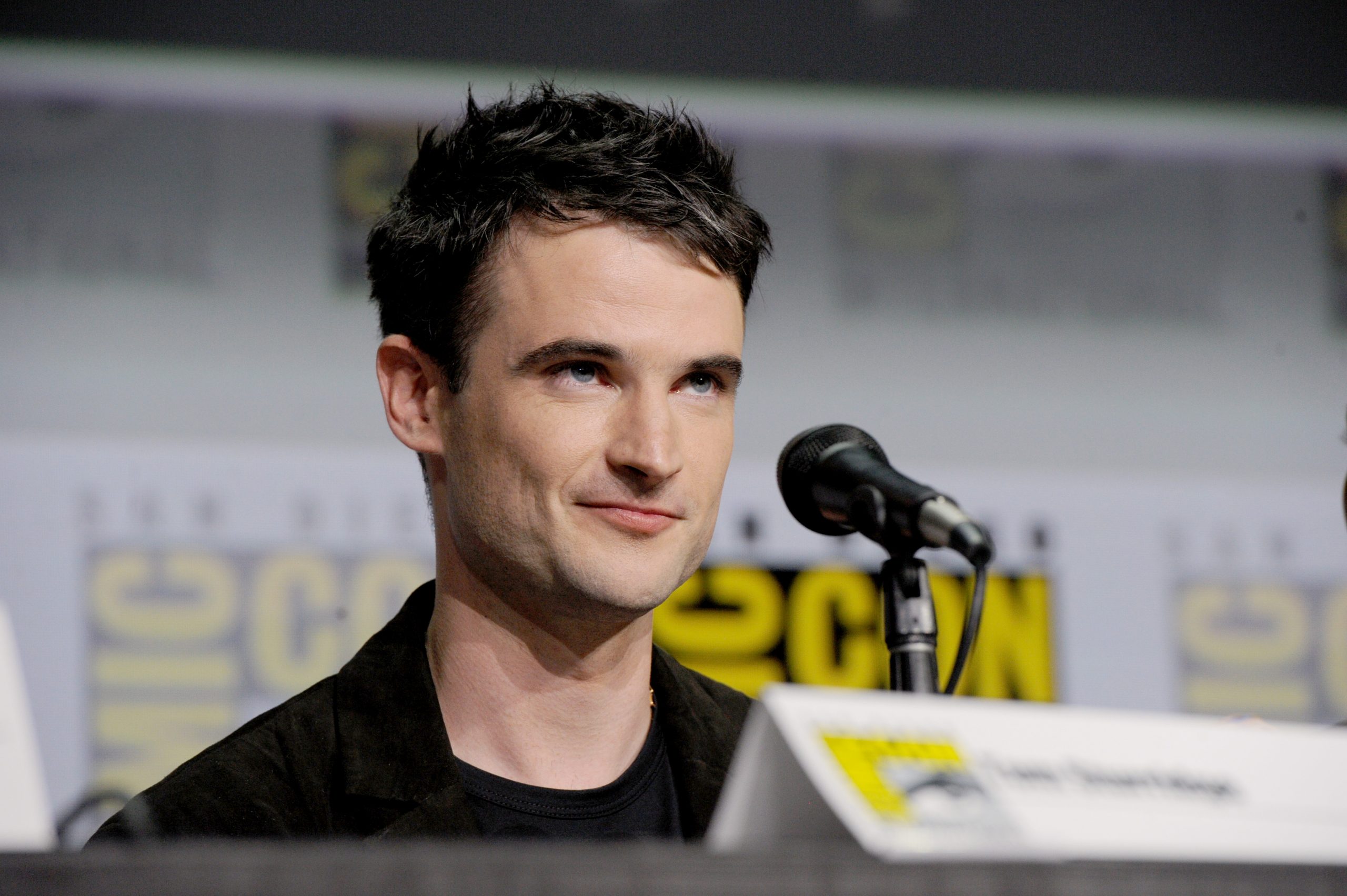 Tom Sturridge sits in front of San Diego Comic-Con sign.